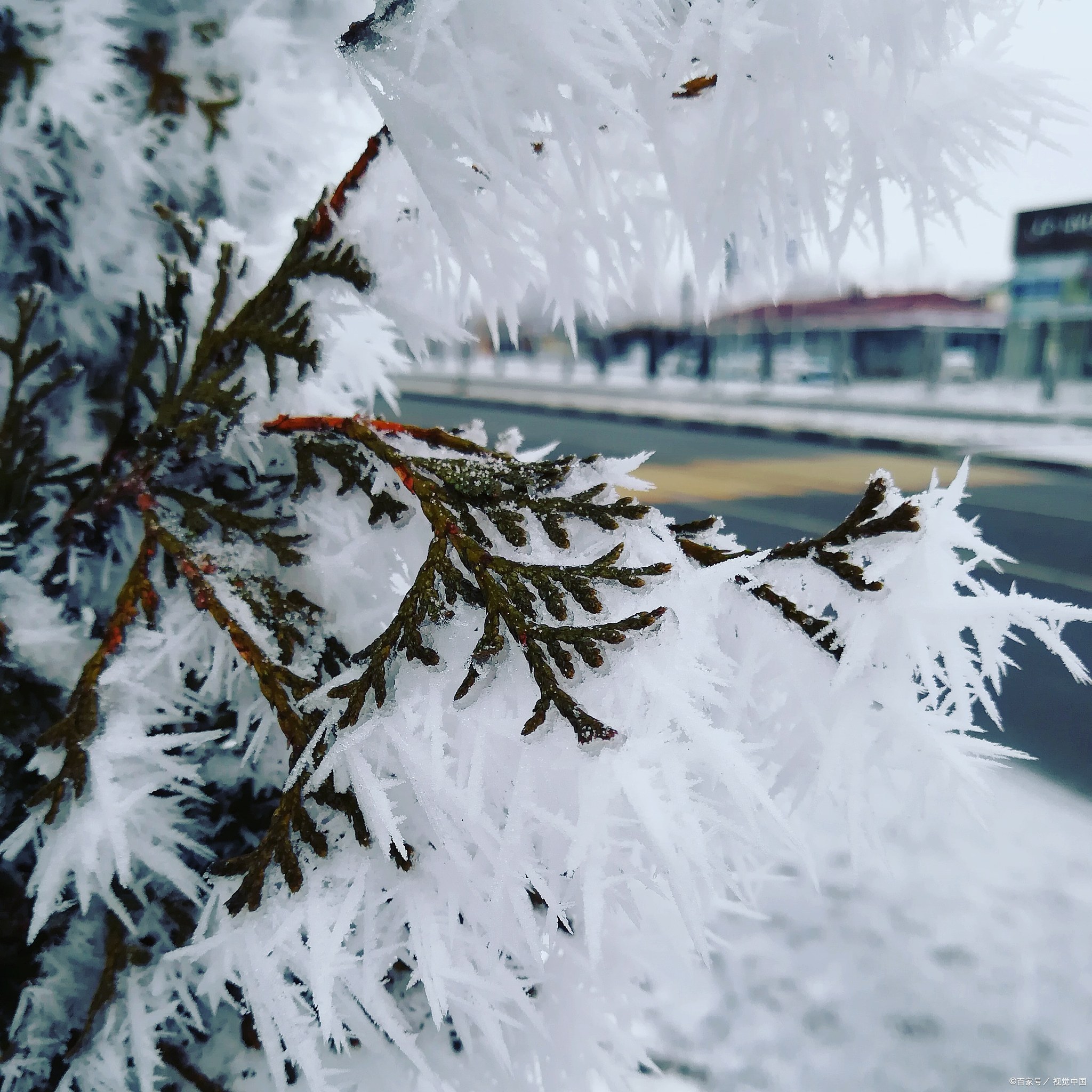 唐代诗人关于大雪节气的句子