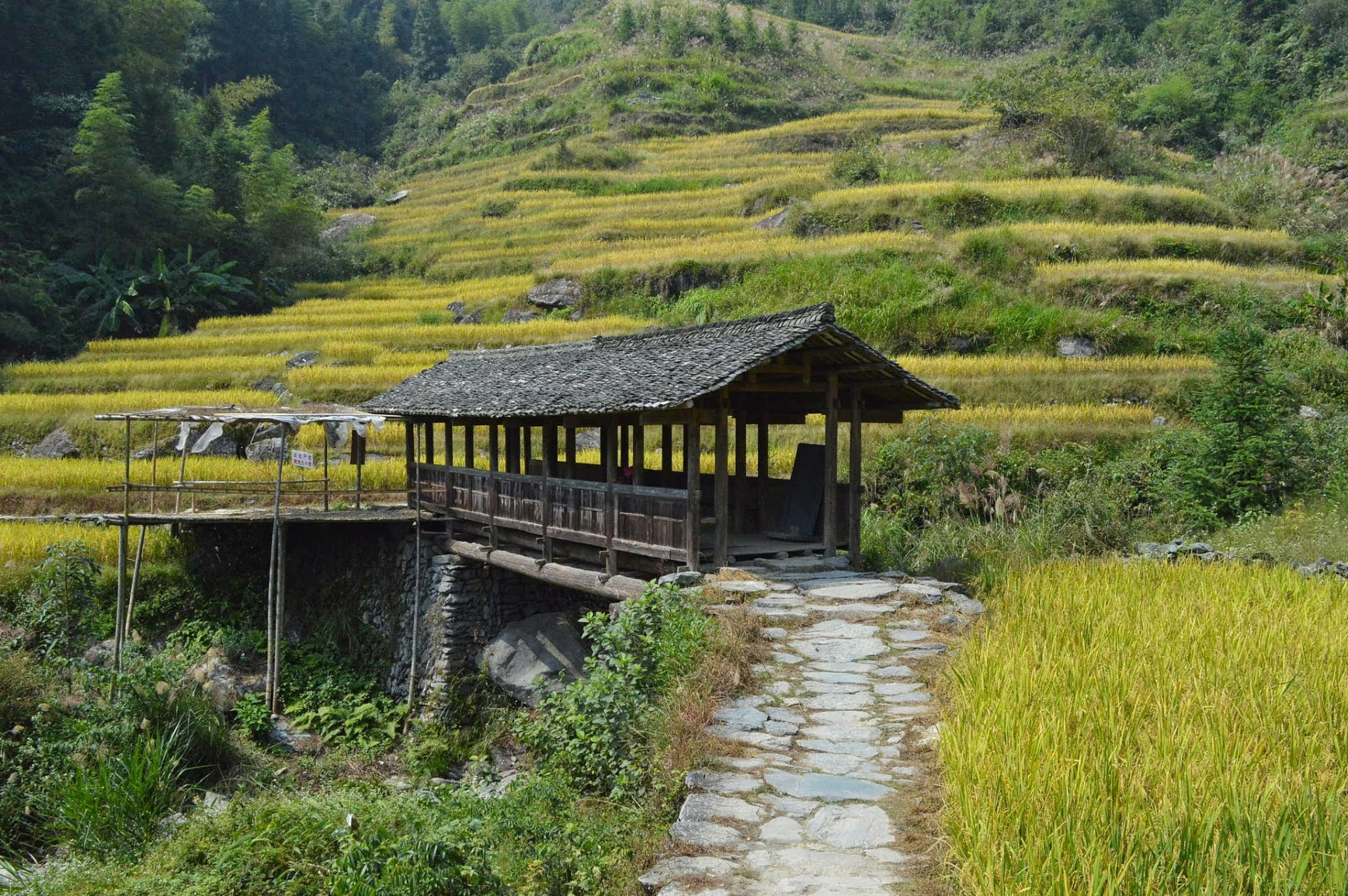 畲族文化深度游:丽水云和风情村,你不可错过的旅行地!