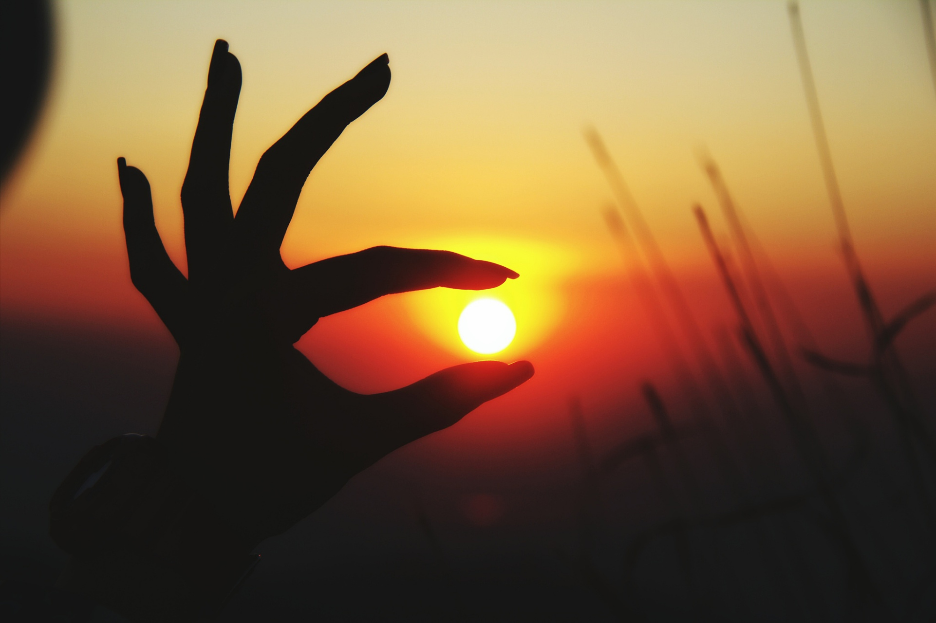 帮你活得通透的一段话:  放下助人情结,尊重他人命运.