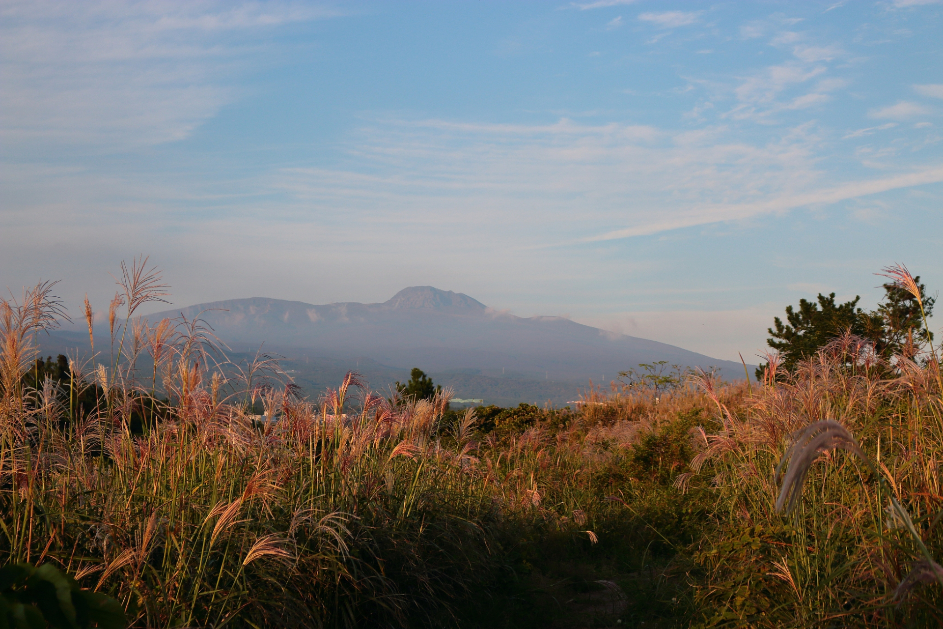 二妃山,武汉的小众秘境,让你轻松get大自然的魅力!