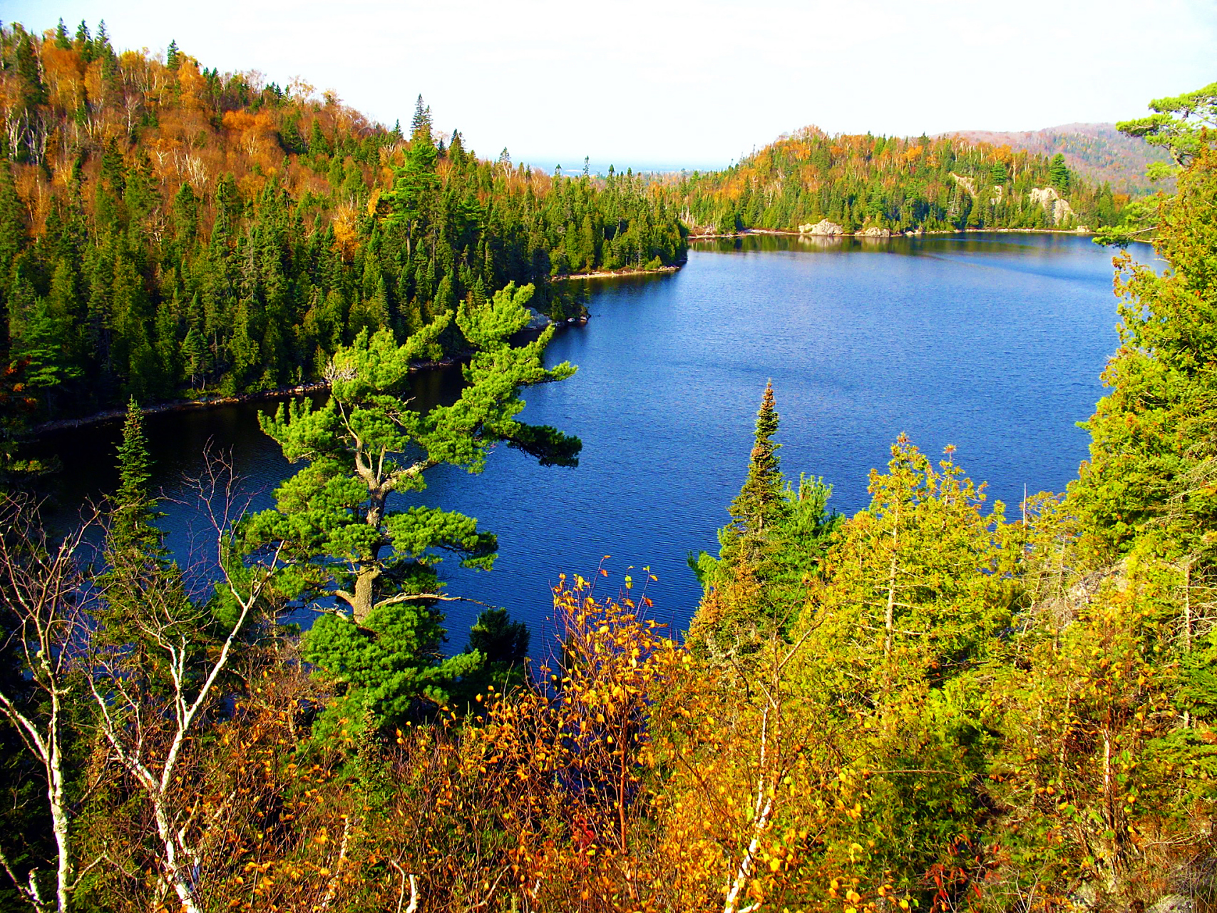 大亮子河国家森林公园,位于黑龙江佳木斯市的汤原县,是黑龙江省东部的