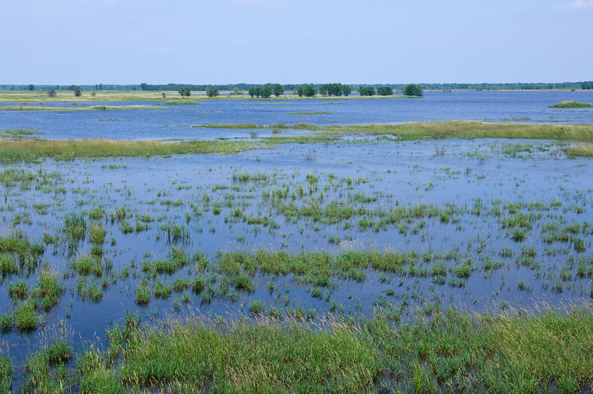 江苏洪泽湖湿地,一个集观光旅游,生态休闲,科普教育于一体的国家5a级
