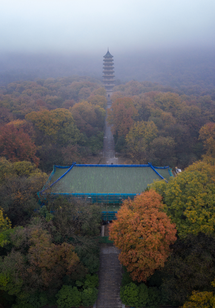 周末踏上杭州皋亭山,寻觅清幽之地,赏千桃园桃花,感受龙居寺佛教文化