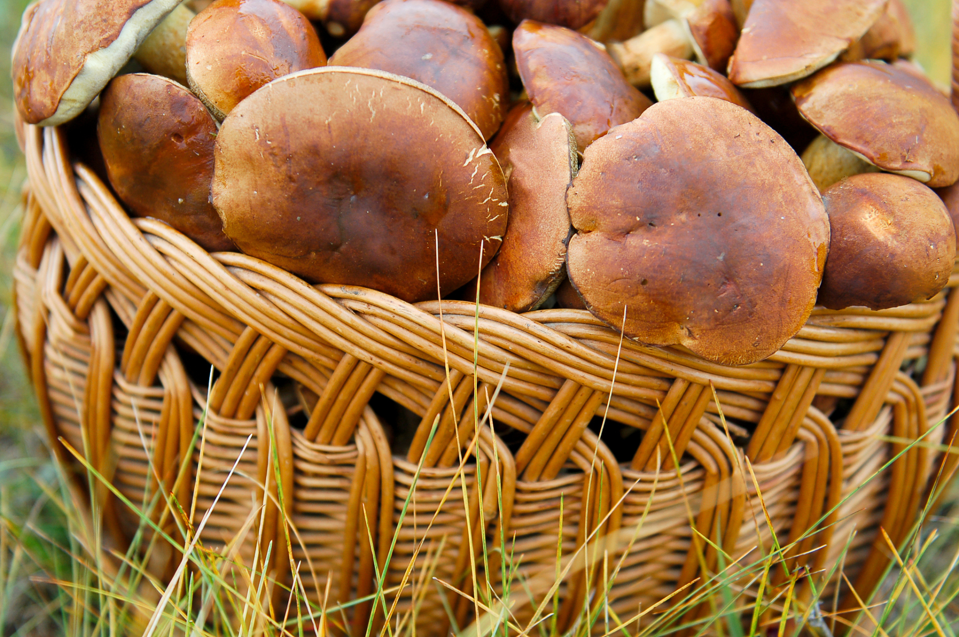 其中包括沧州金丝小枣,承德杏仁露,唐山麻糖, 2.