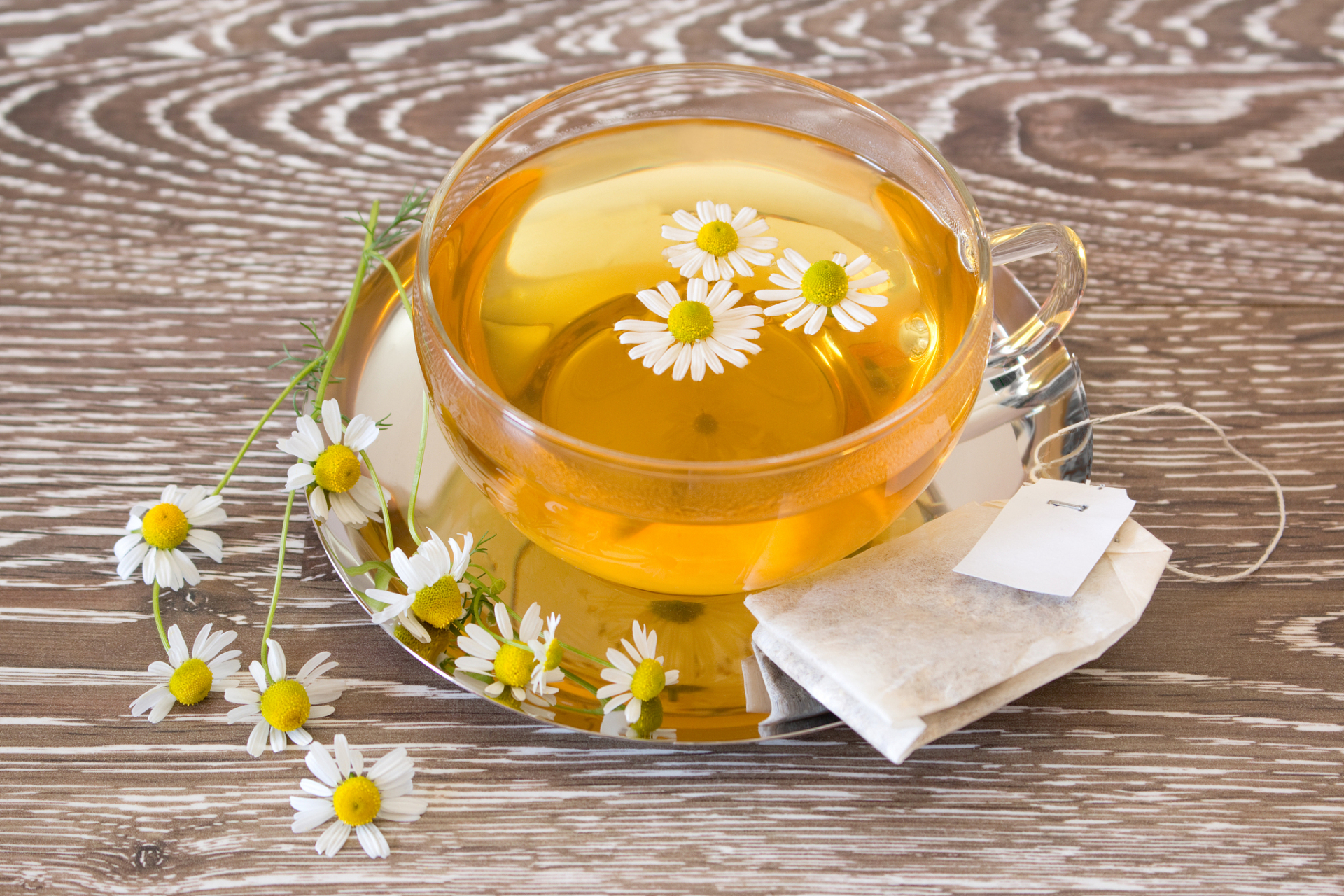 菊花枸杞决明子茶的功效与作用,菊花枸杞决明子茶的冲泡方法 菊花