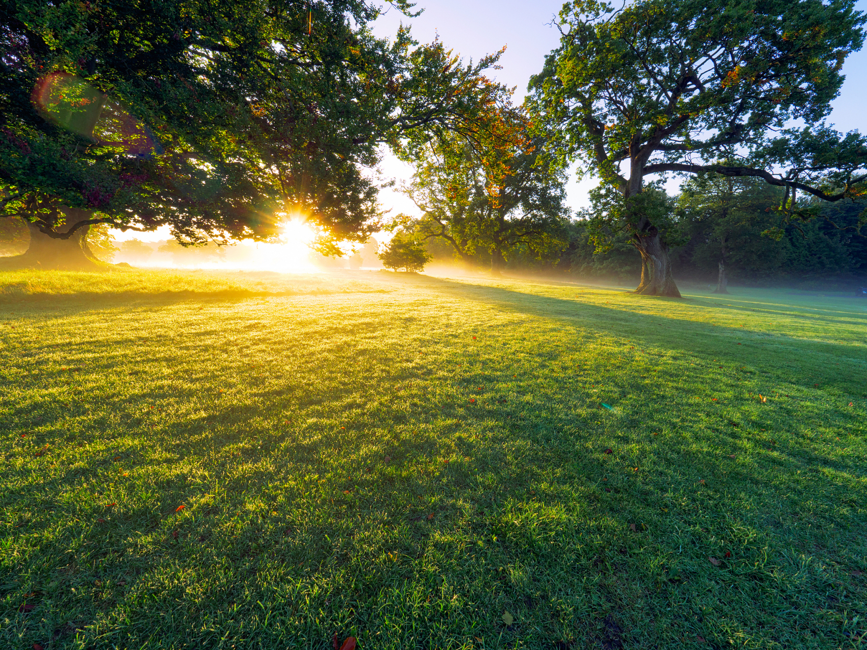 当清晨的第一缕阳光透过窗户, 你是否感受到了这个全