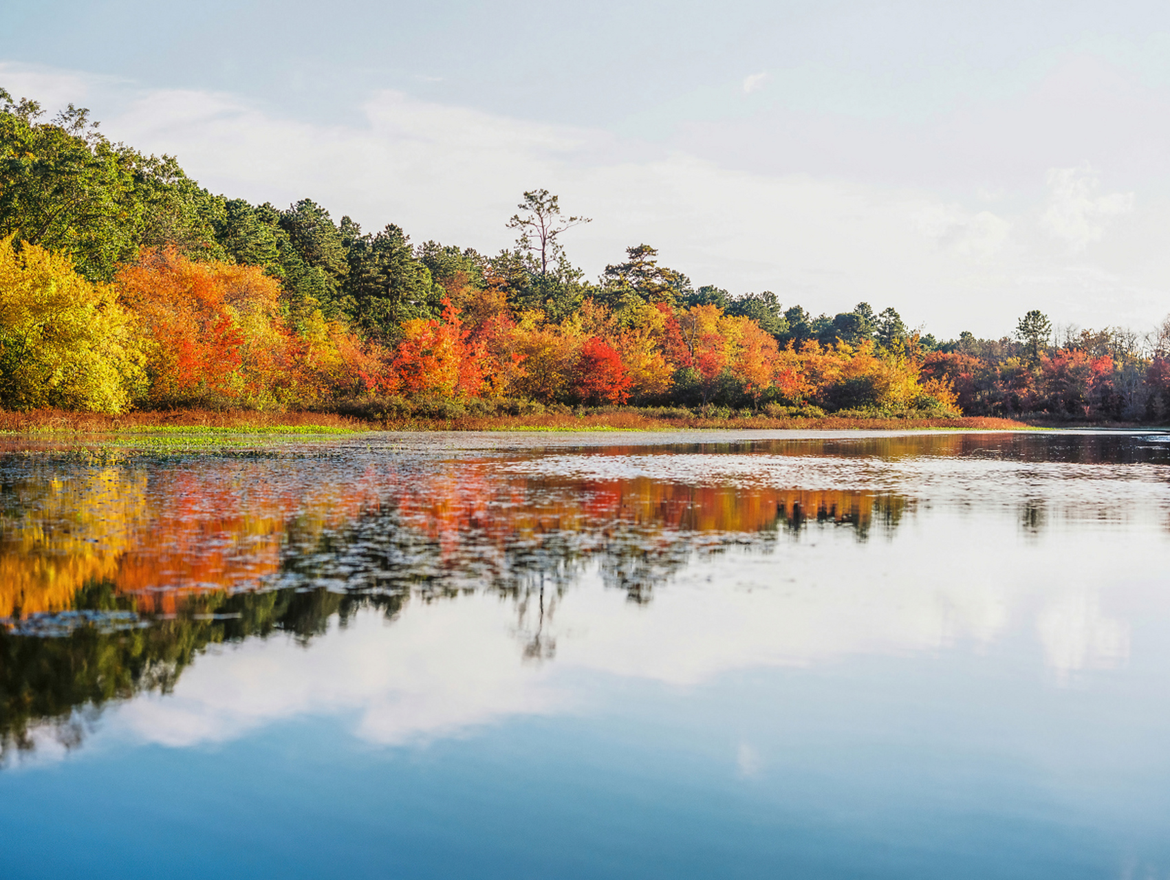 夏天成了故事; 一个眨眼,秋天成了风景,带上你的笑容,在街的拐角处