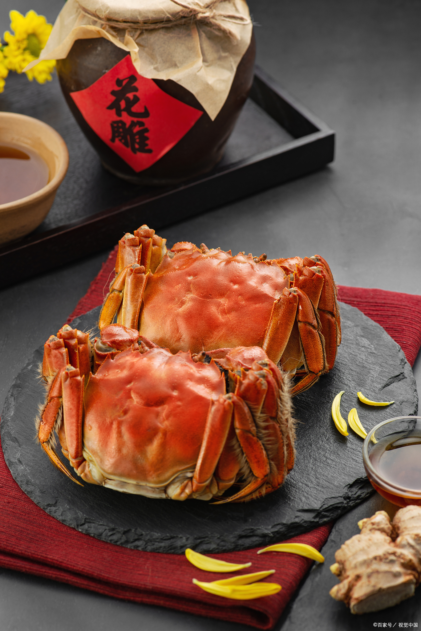 大闸蟹是中华绒螯蟹的俗称,是一种广泛分布于亚洲东部沿海的甲壳类