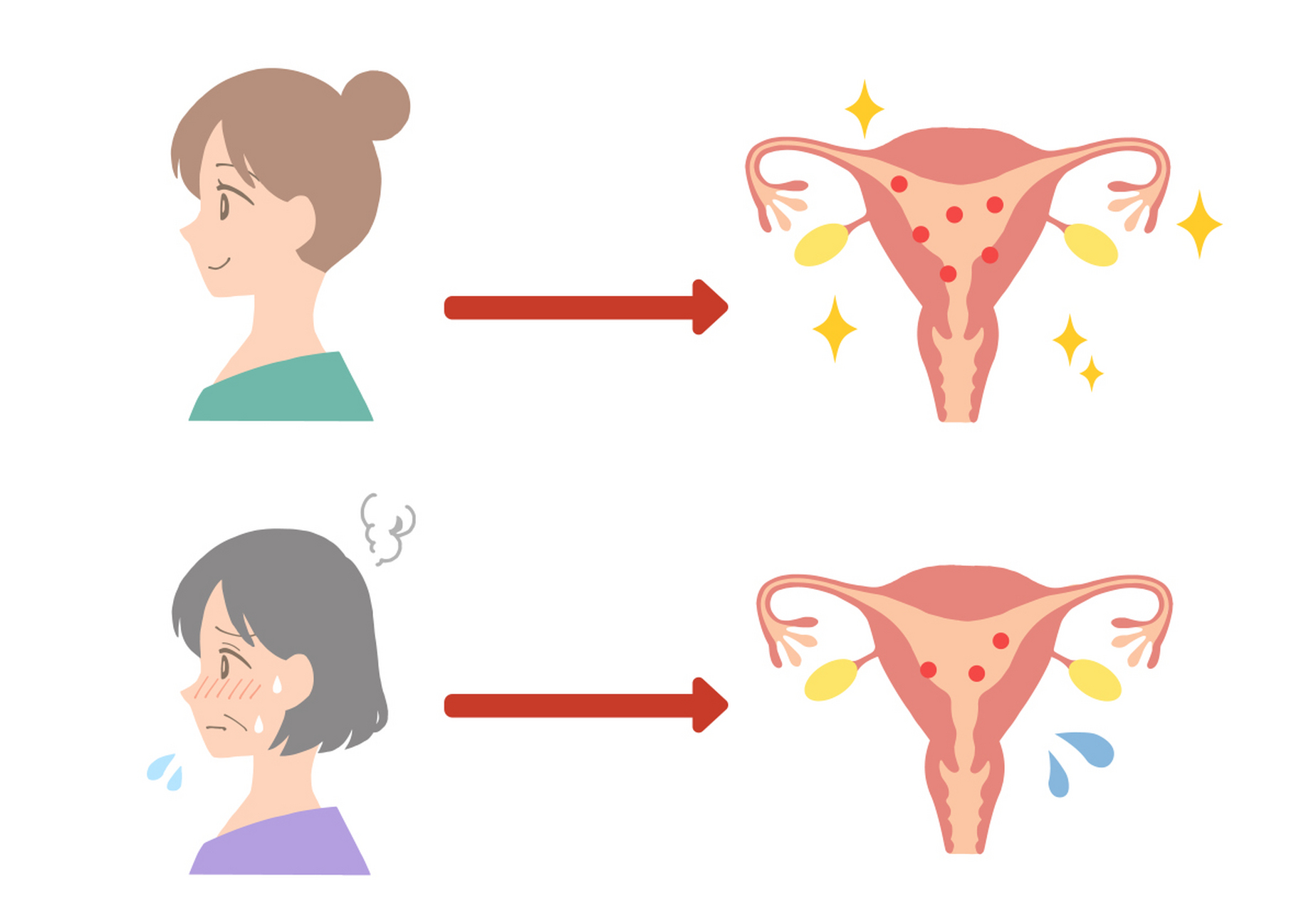 干细胞治疗# 卵巢早衰多少钱?卵巢干细胞治疗多少钱?