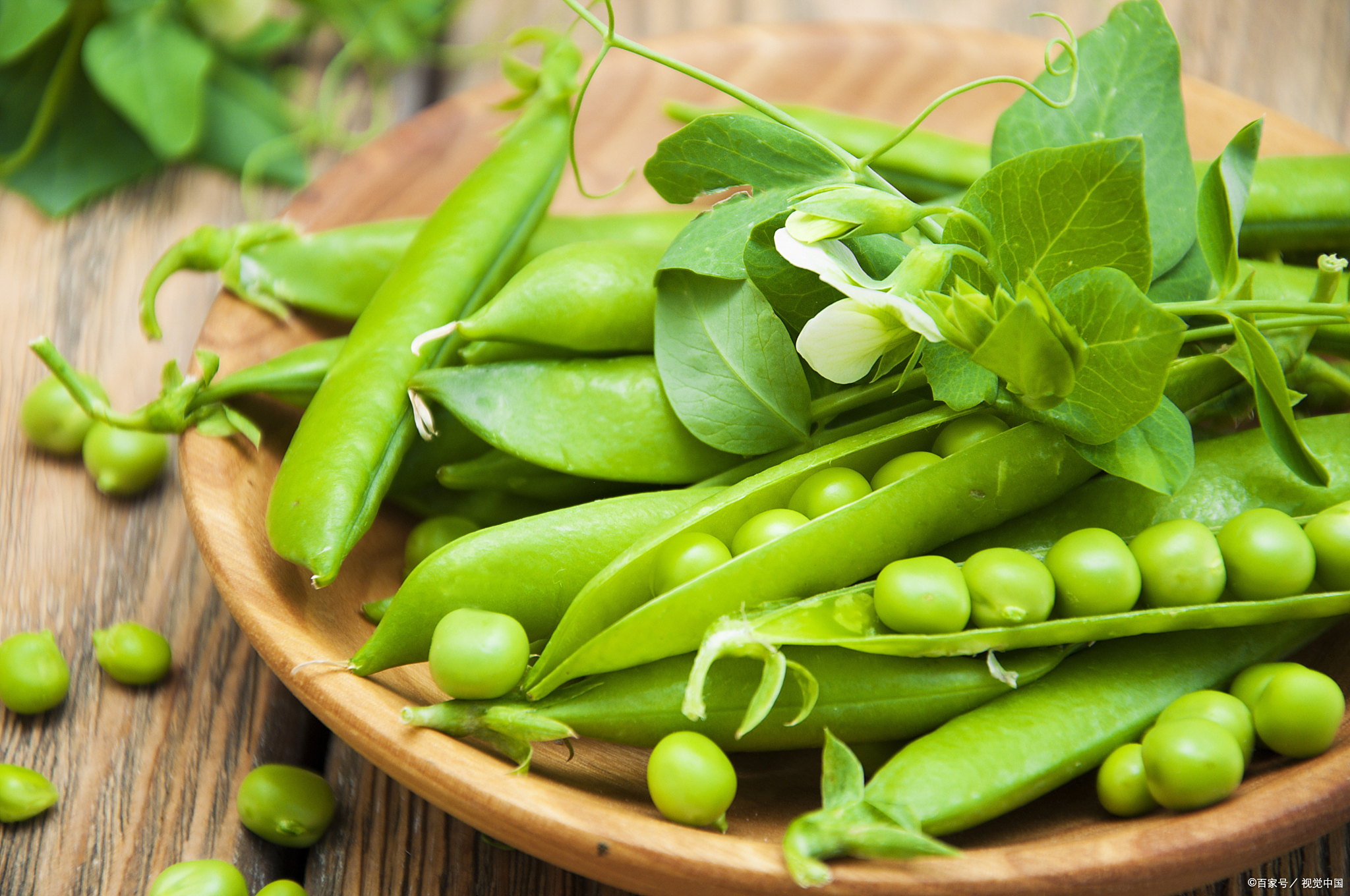 豌豆虽然好,不过像孕妇,消化不良患者,糖尿病患者以及对豌豆有过敏的