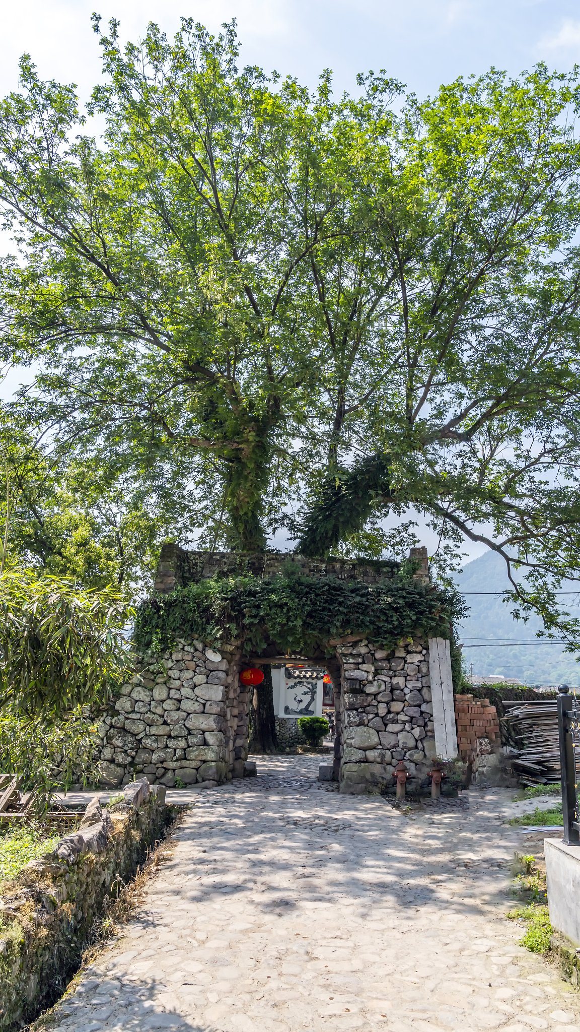 闻喜县的裴柏村,秋天的古村落有何独特魅力?