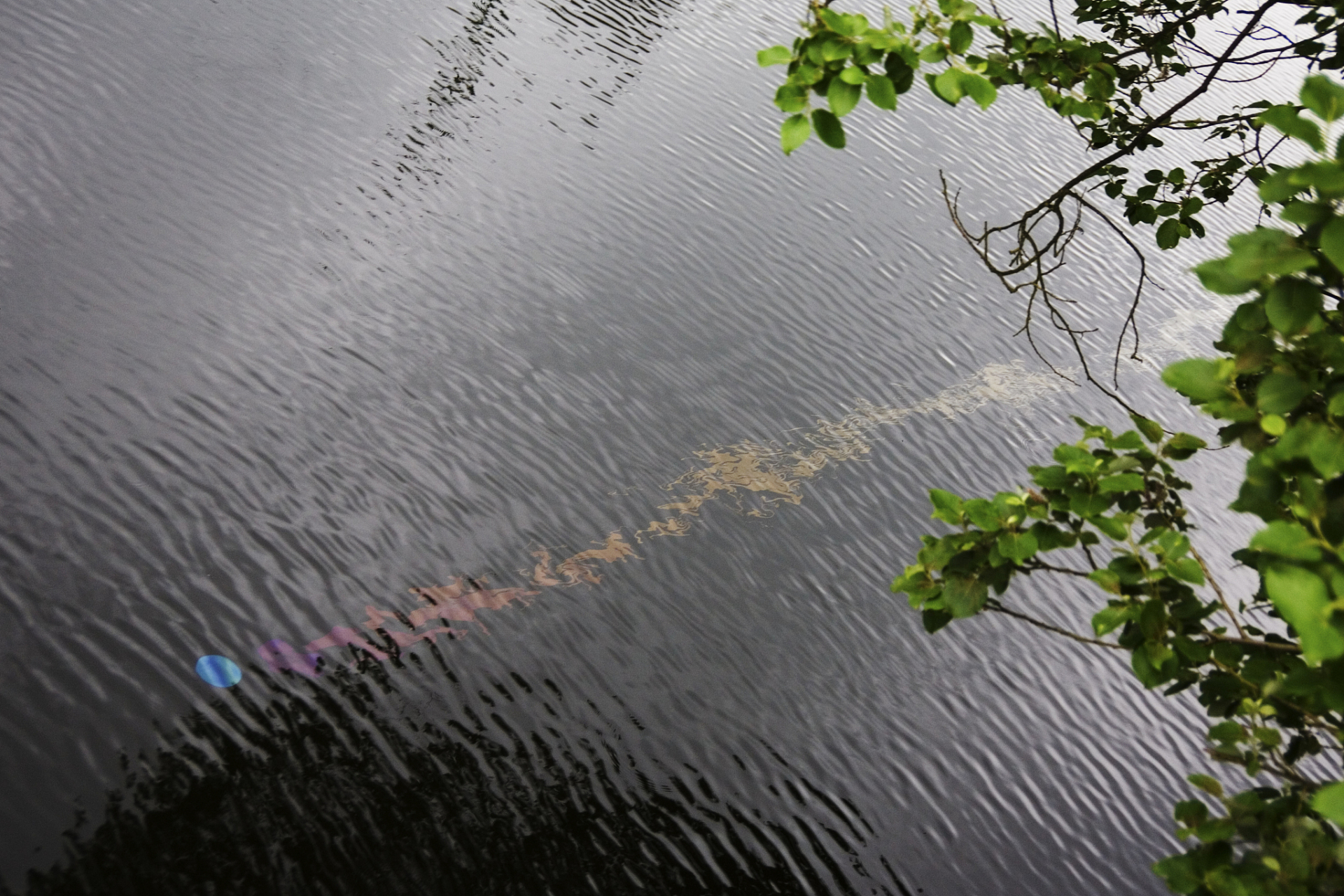 蒙蒙细雨意境的唯美句子  濛濛细雨,如丝如织,飘飘洒洒,透过窗户,落在