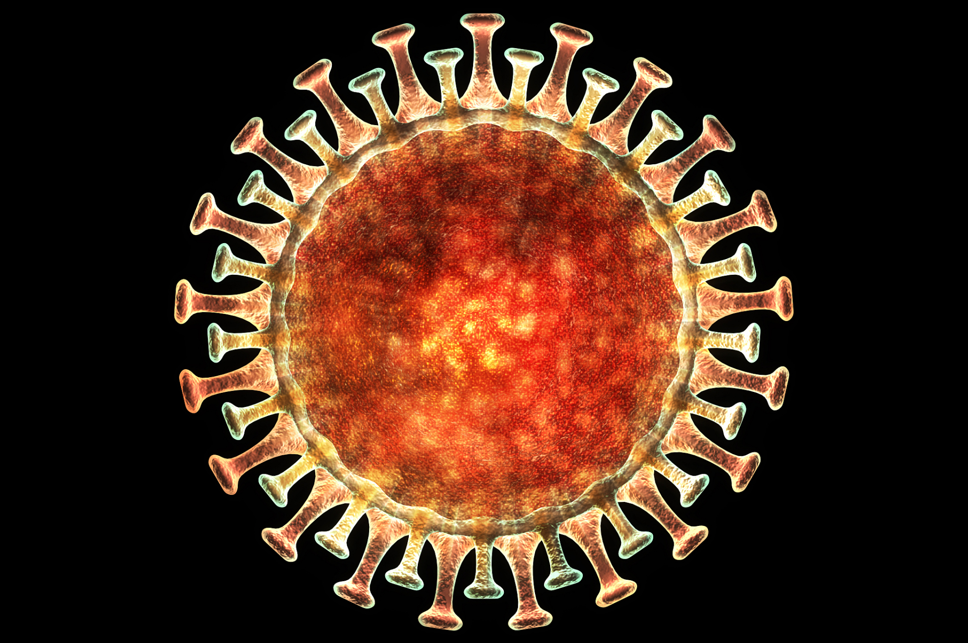 新冠病毒变异毒株是什么? 变异毒株是什么意思?