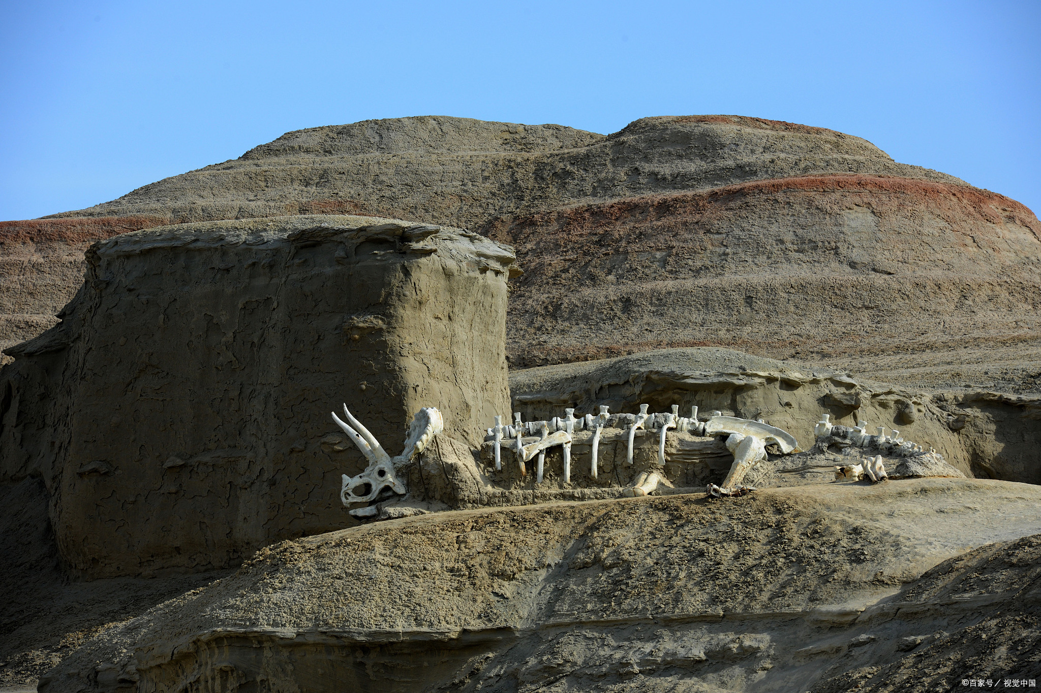 银川,这座位于西北边陲的古城,总是让我心生向往.