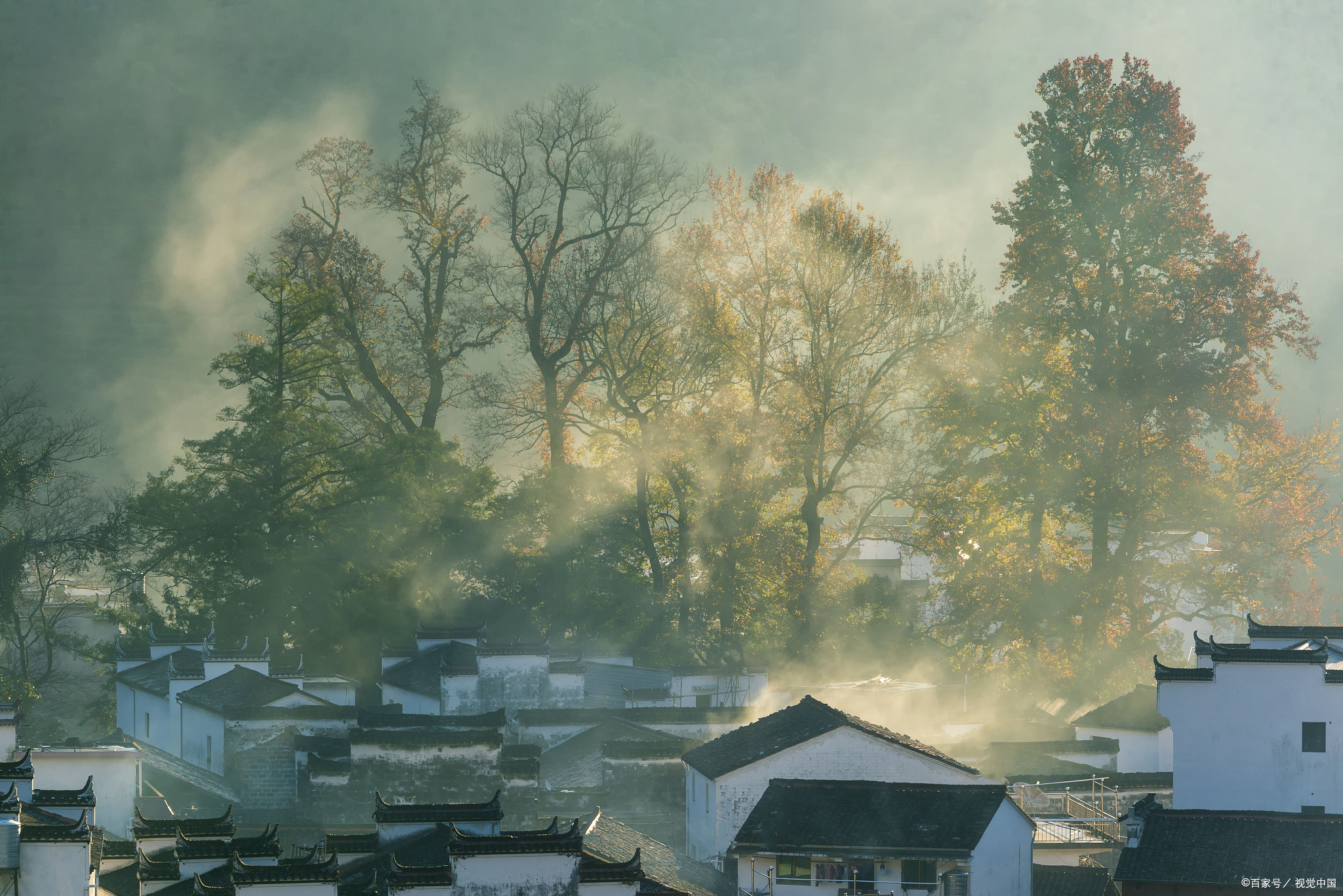 和煦的春风温柔地吹拂着,它像一只灵动的手,轻