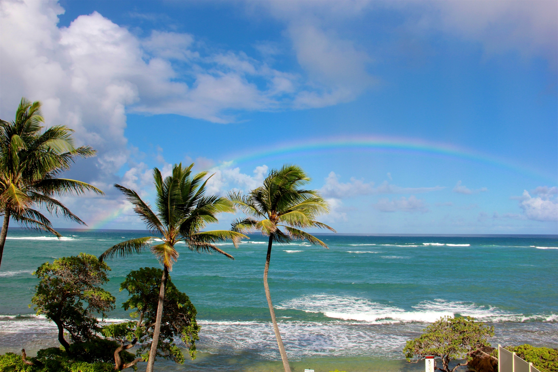 夏威夷大火约100人跳太平洋逃生# 夏威夷大火约100人跳太平洋逃生的