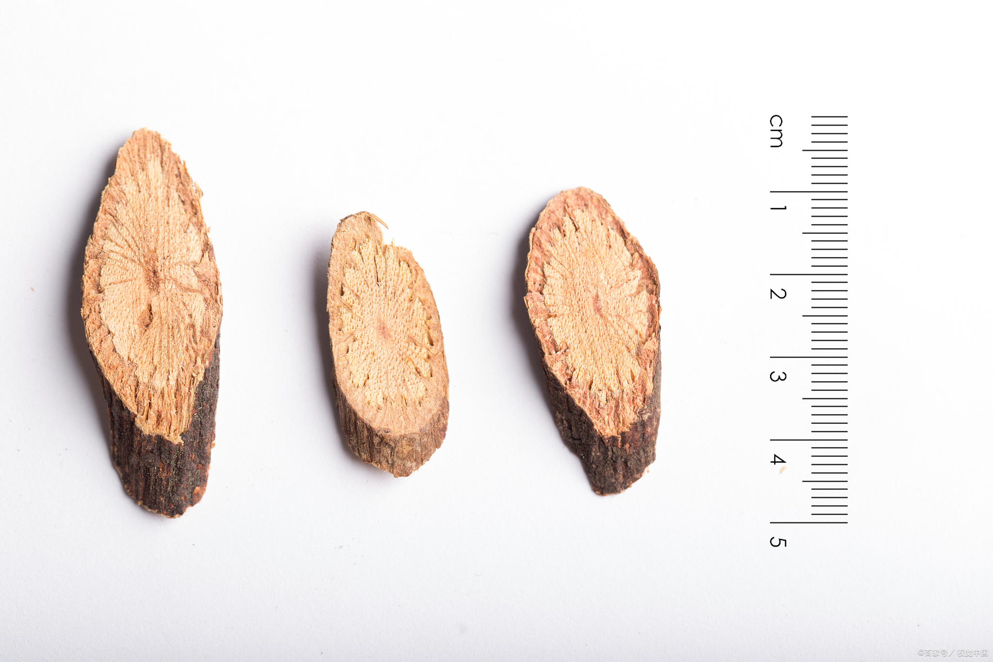 全国,盐城滨海白首乌,白人参,仙草,张果老何首乌吃法