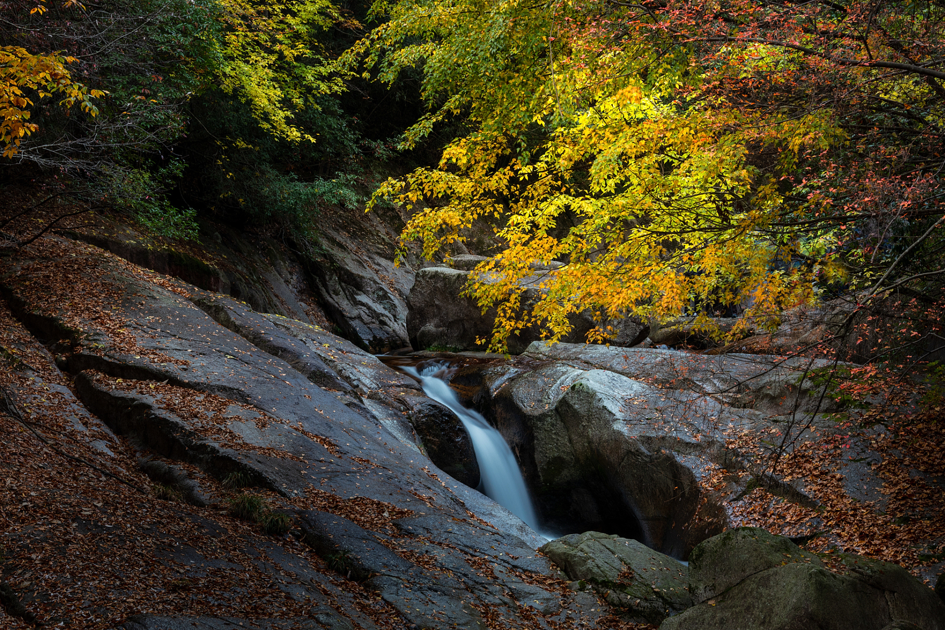 四川南江的光雾山风景区,占地600平方公里,分为五大片区,可以欣赏到
