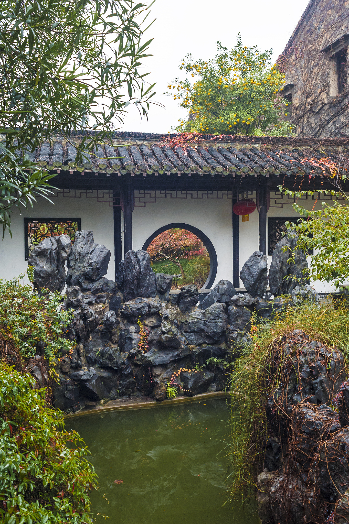 南通如皋水绘园的园艺设计如何?水绘园中的风光是否引人入胜?