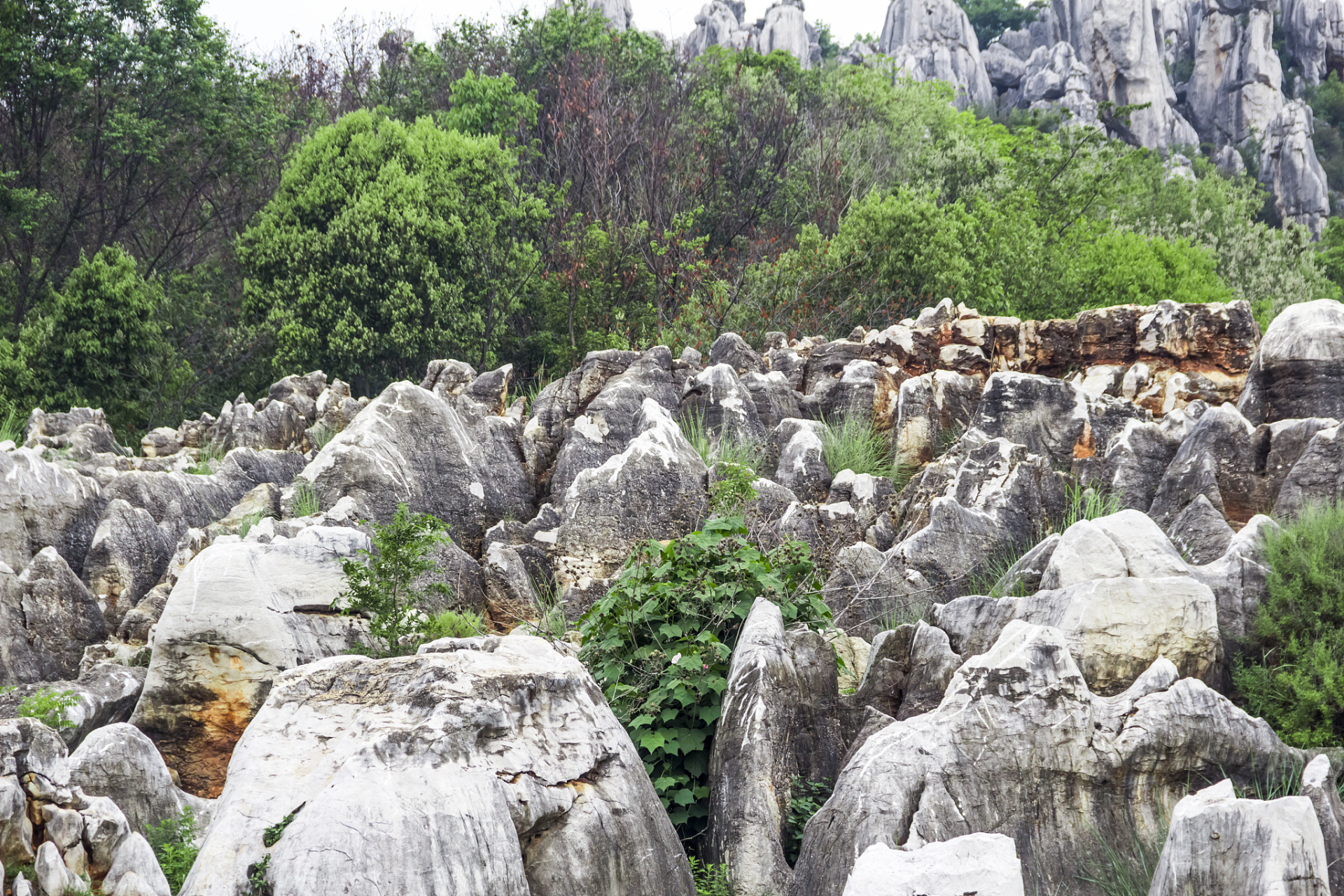 春湾石林风景区图片