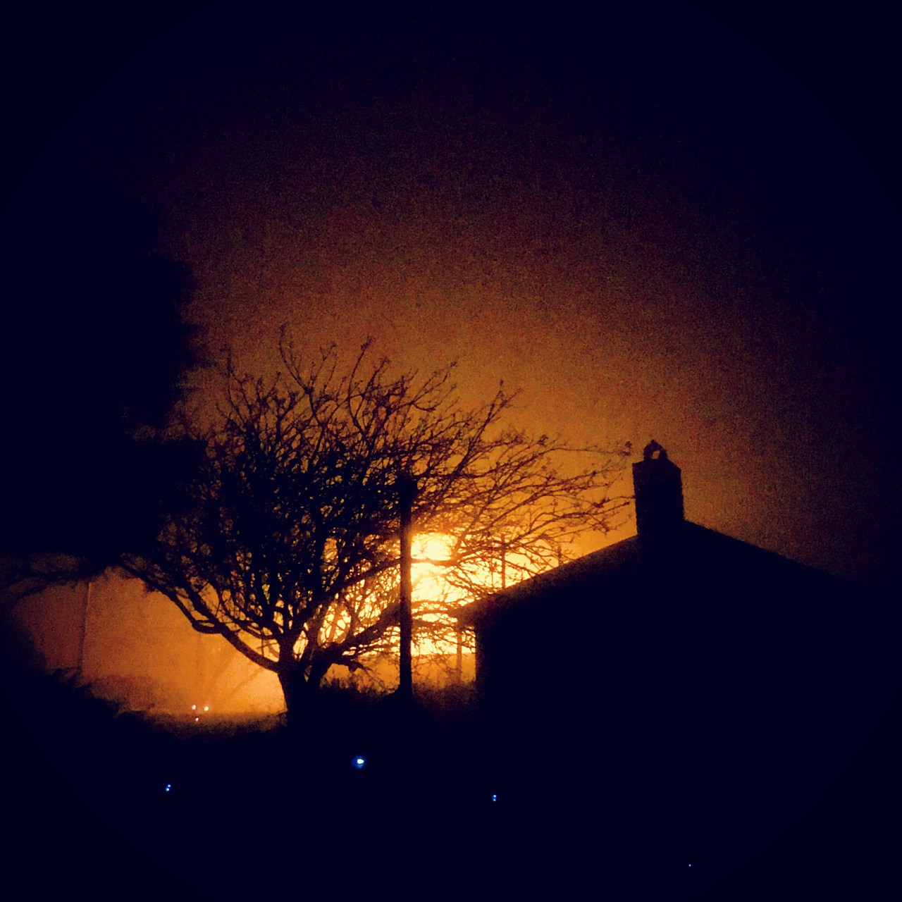 夜的寂寞,有一份喜悦,也有一份感伤  夜晚总是让我沉醉,  寂寞的黑夜