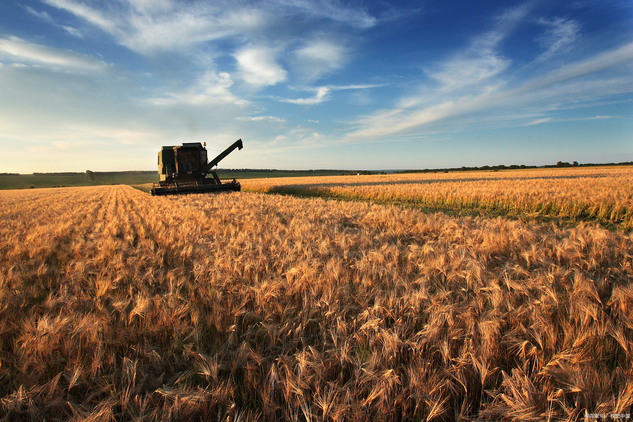 cor-冠菌素——农业发展史上的科技革命