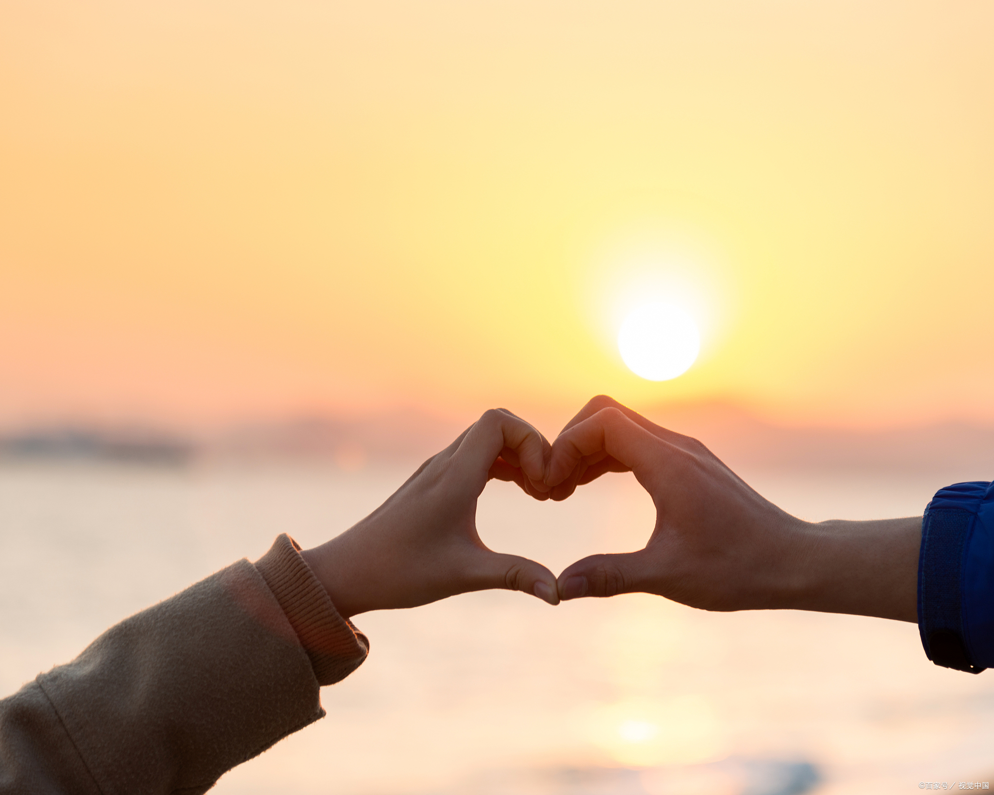 唯有自身芬芳馥郁,方能引来蝴蝶翩翩起舞