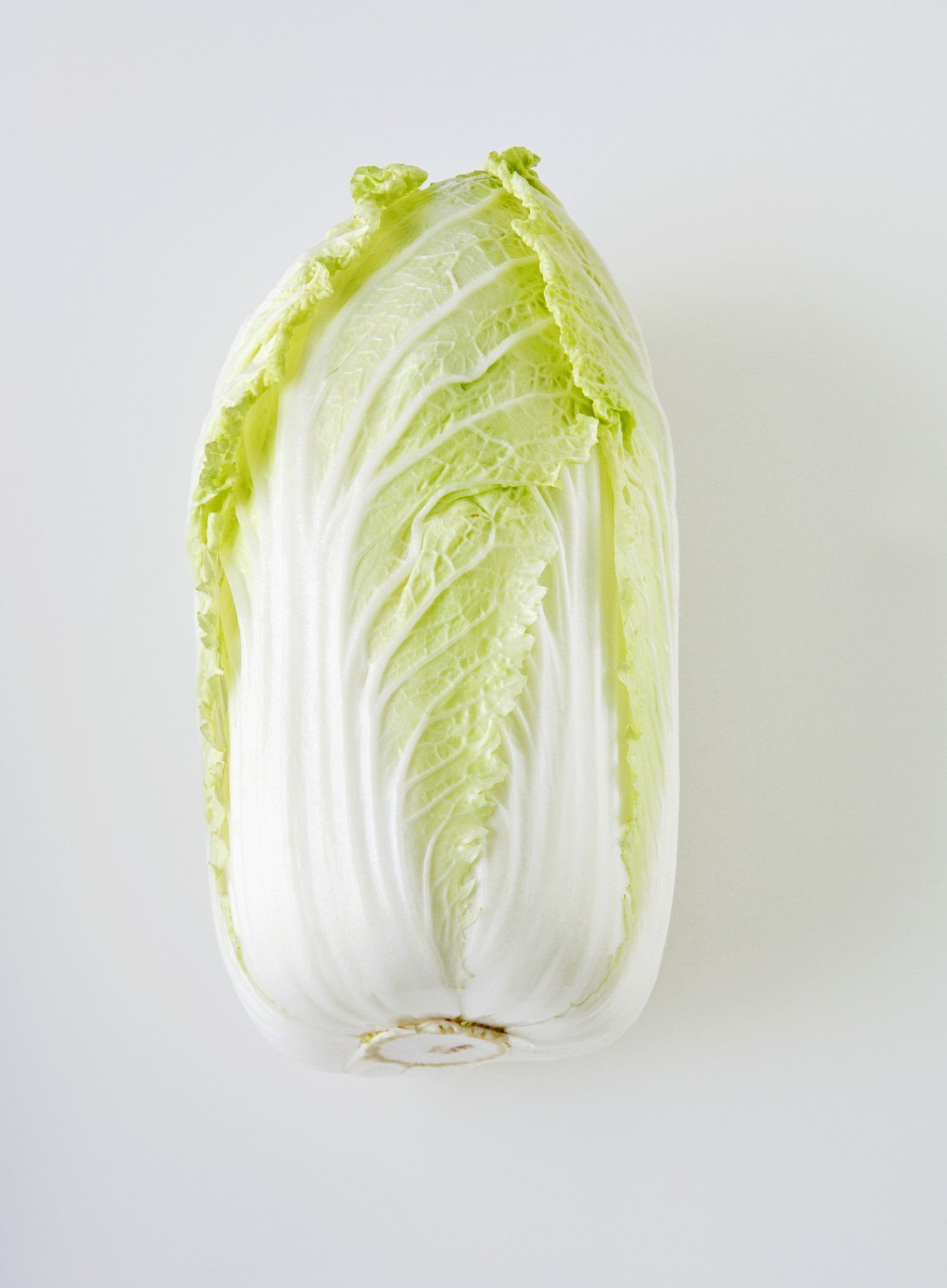 科技赋能“春满棚”——山南市展开设备农业助力村庄复兴见识