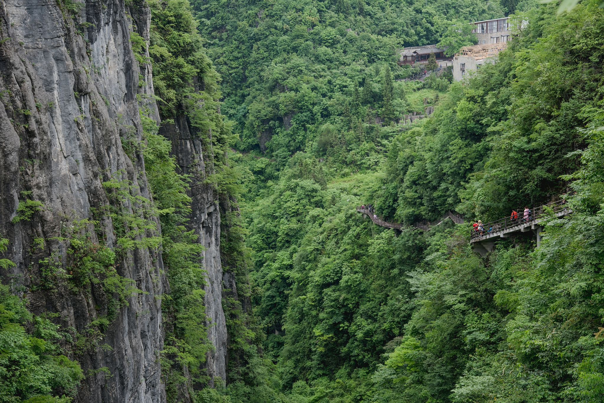 峡谷奇景图片