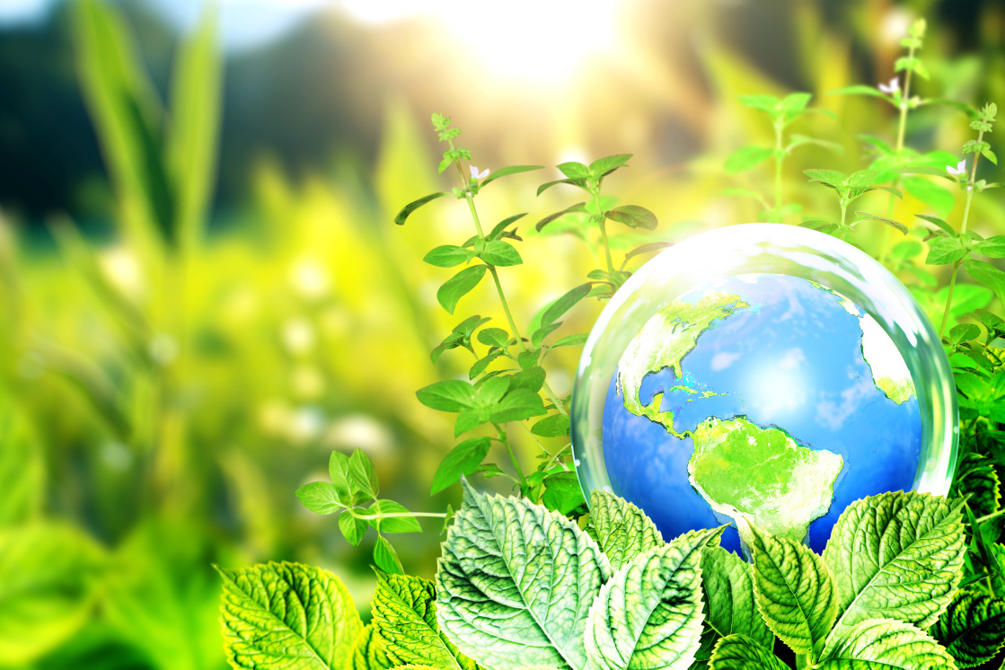 科技助力环保是打造绿色家园的关键