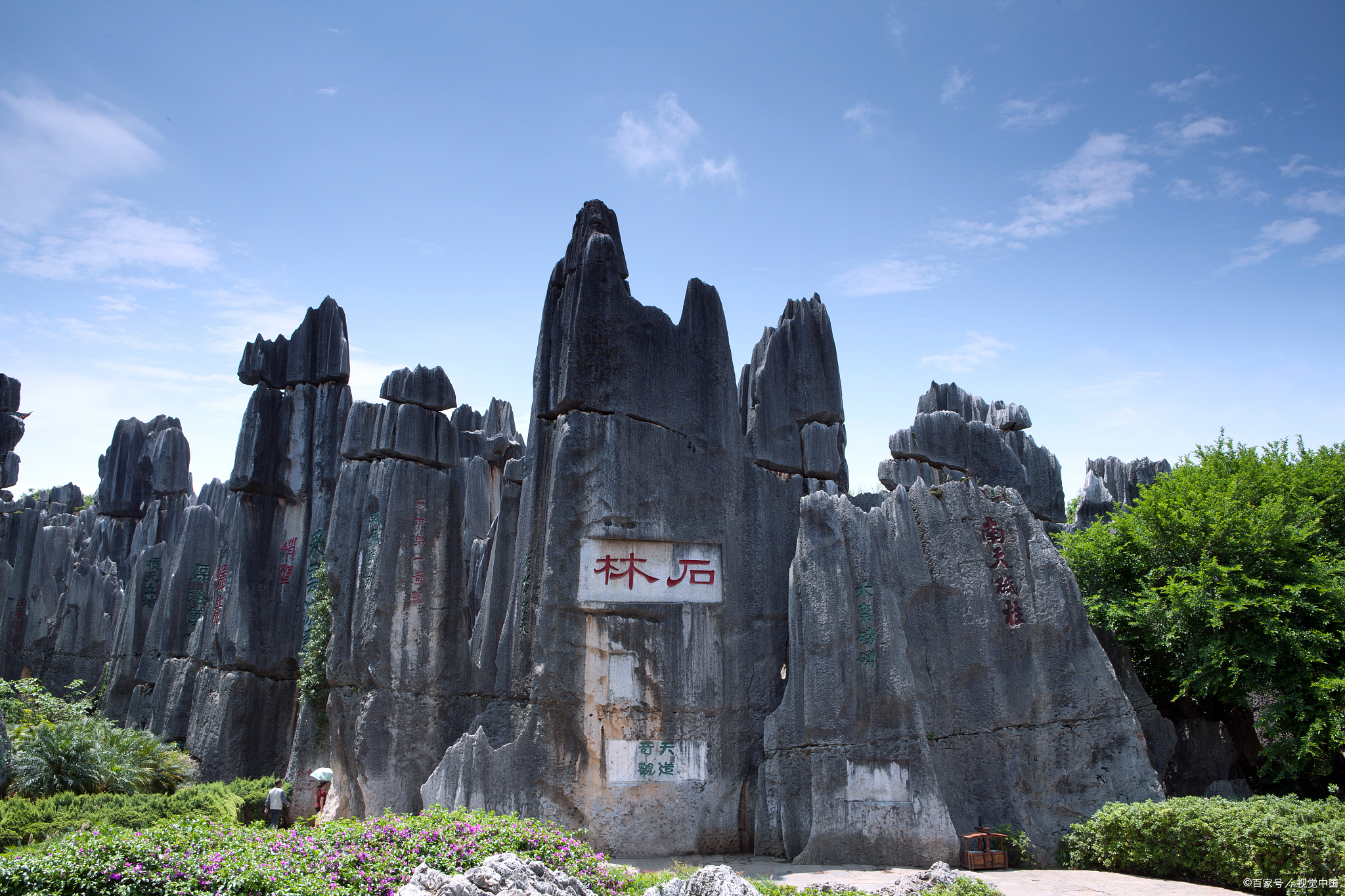 以下是一个昆明石林一日游纯玩的攻略:  **前期准备:**  - **提前预订