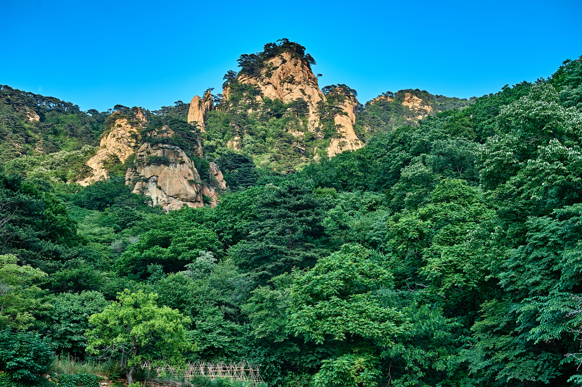 千山可是咱们东北的明珠哦,是国家重点风景名胜区.