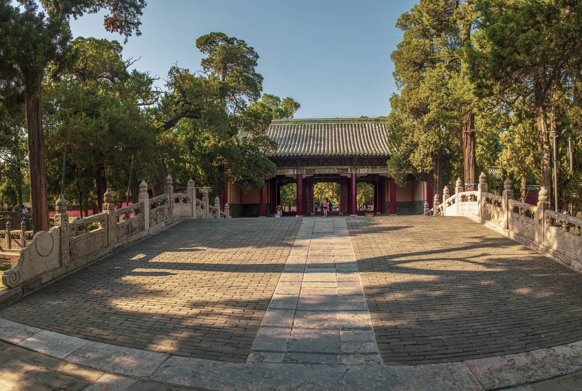 朋友们,我是阿涛,今天带大家走进"好客山东 好品山东"的魅力之地