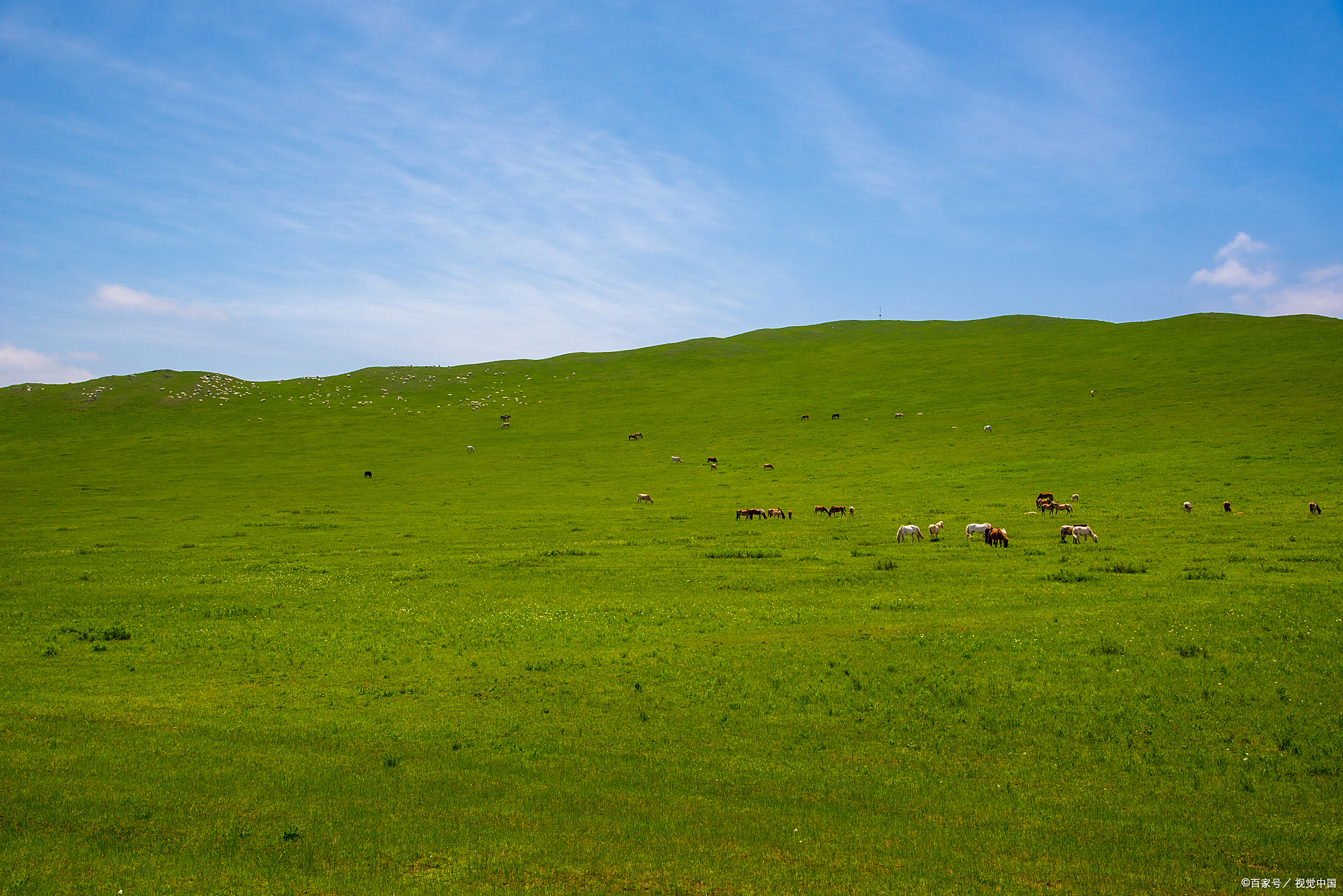 世界上最肥沃的草原:探秘大自然的"粮仓"