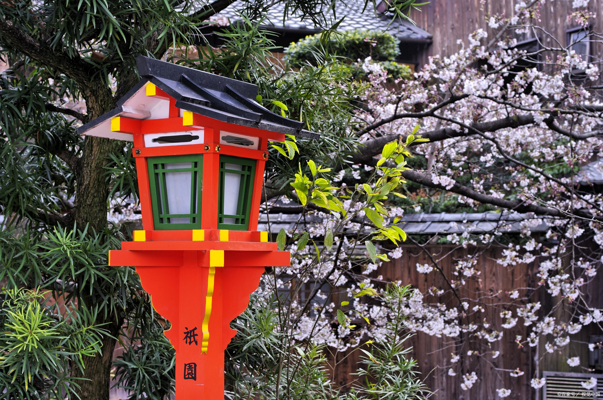 东京梦幻之境:漫步隅田公园,穿越江户樱雨梦境 日本·东京都·浅草区