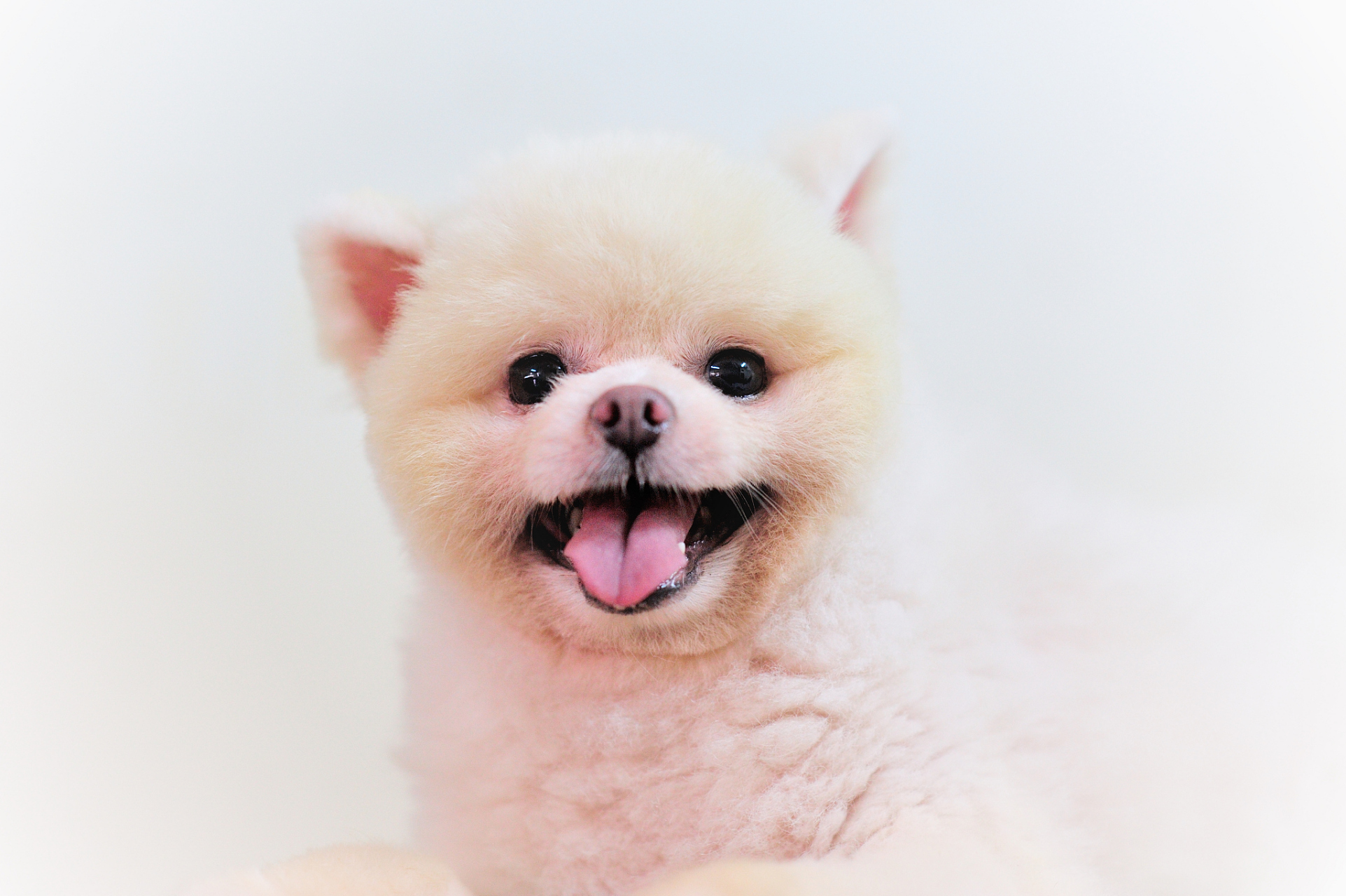 有没有发现,现在手机壁纸已经不再是我们单纯欣赏的"美景"?