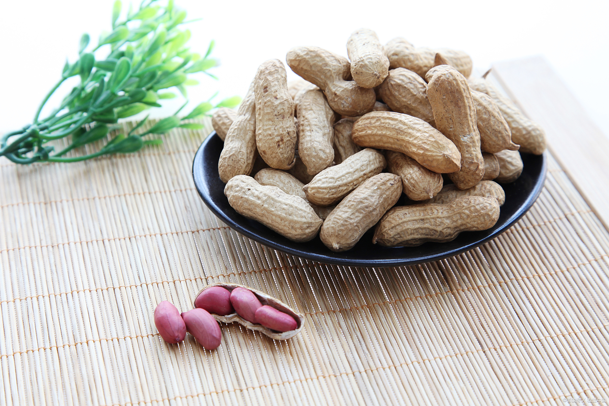 水煮带皮花生怎么煮好吃又入味?记住一个技巧,咸香软糯不易上火