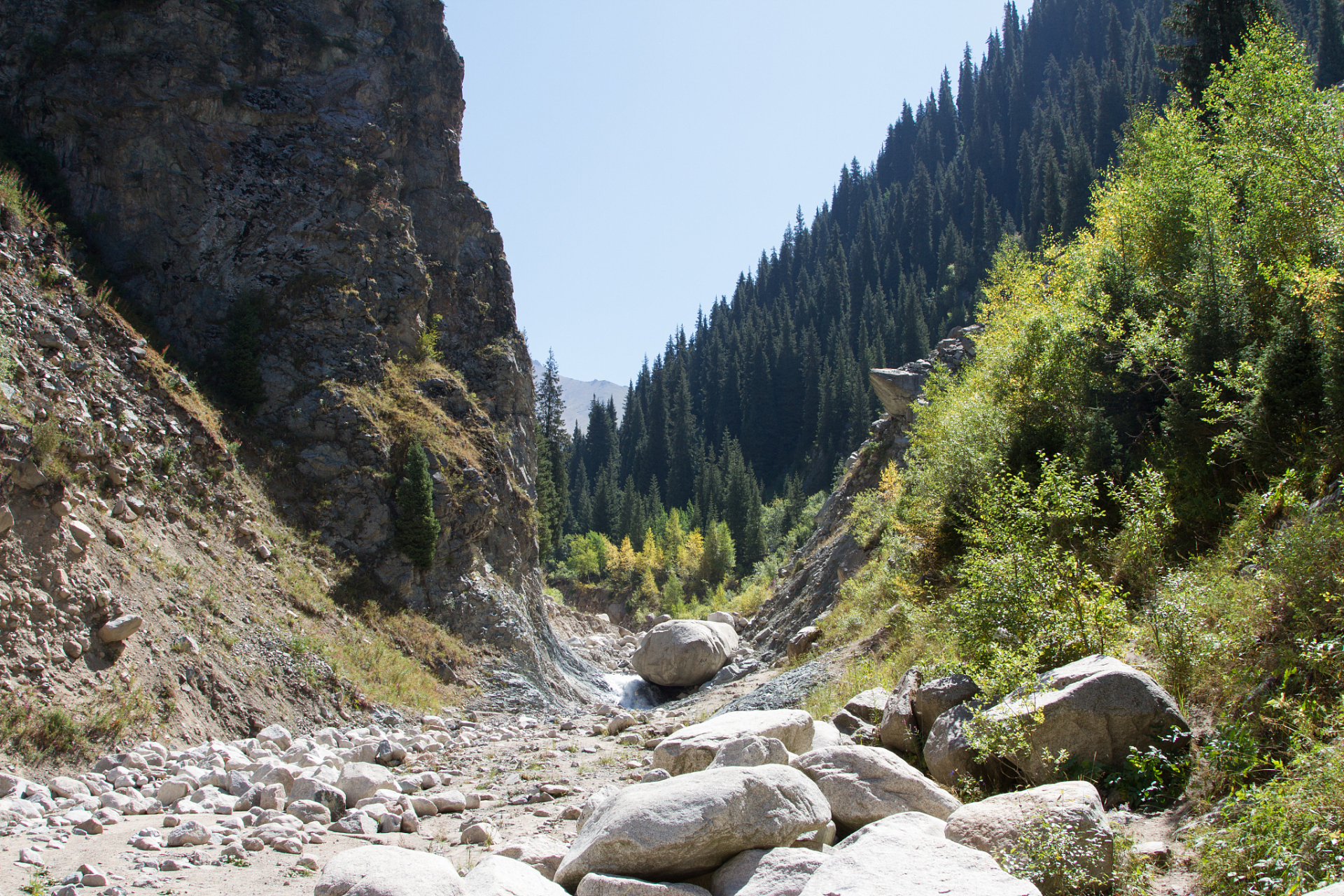 吐鲁沟国家森林公园位于中国宁夏回族自治区西部固原市原州区境内,总