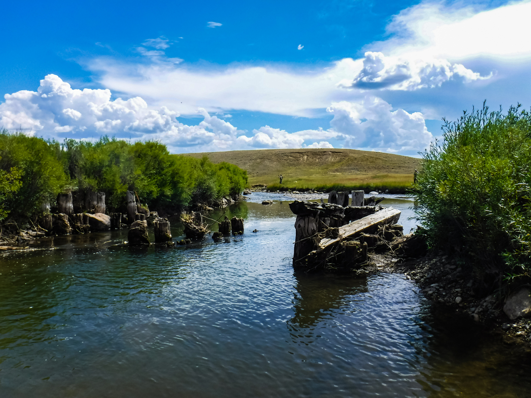 奇遇那拉提#那拉提巩乃斯河景区位于新疆阿勒泰地区,是一个以河流