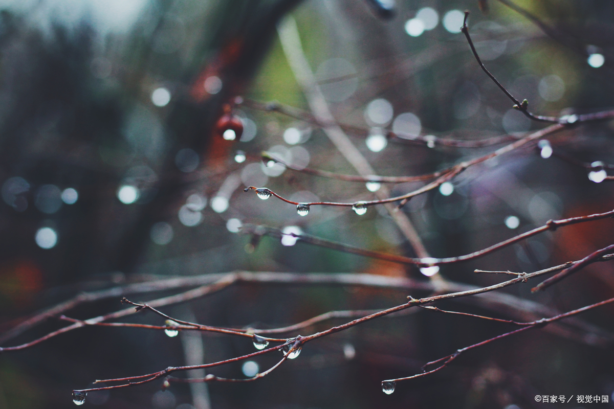 上联:绵绵细雨千般意 下联:润物无声万种情 解析: 上联"绵绵细雨千般