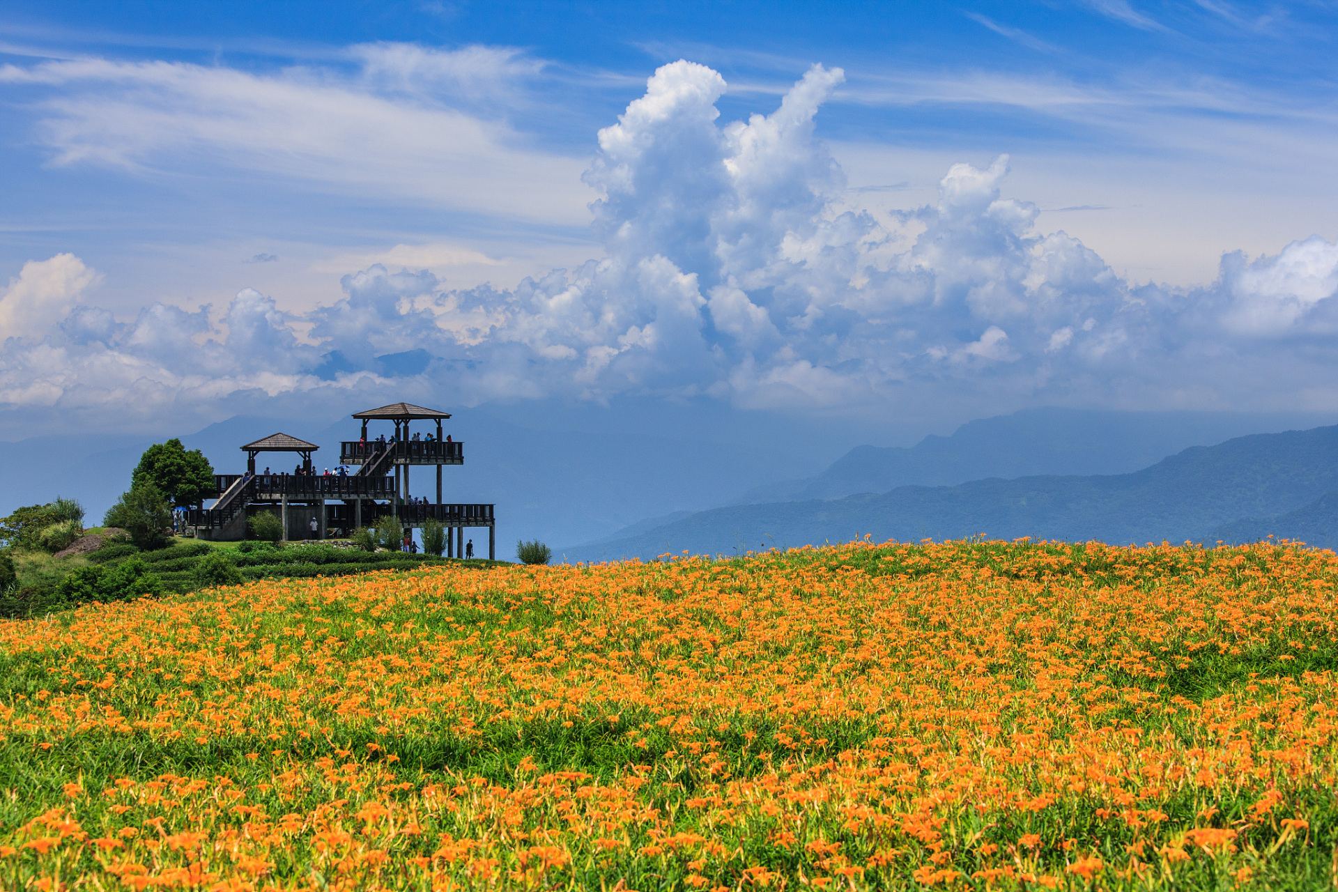 大理花甸坝由大,小花甸组成,坐落在苍山十九峰中最北的云弄,沧浪两峰