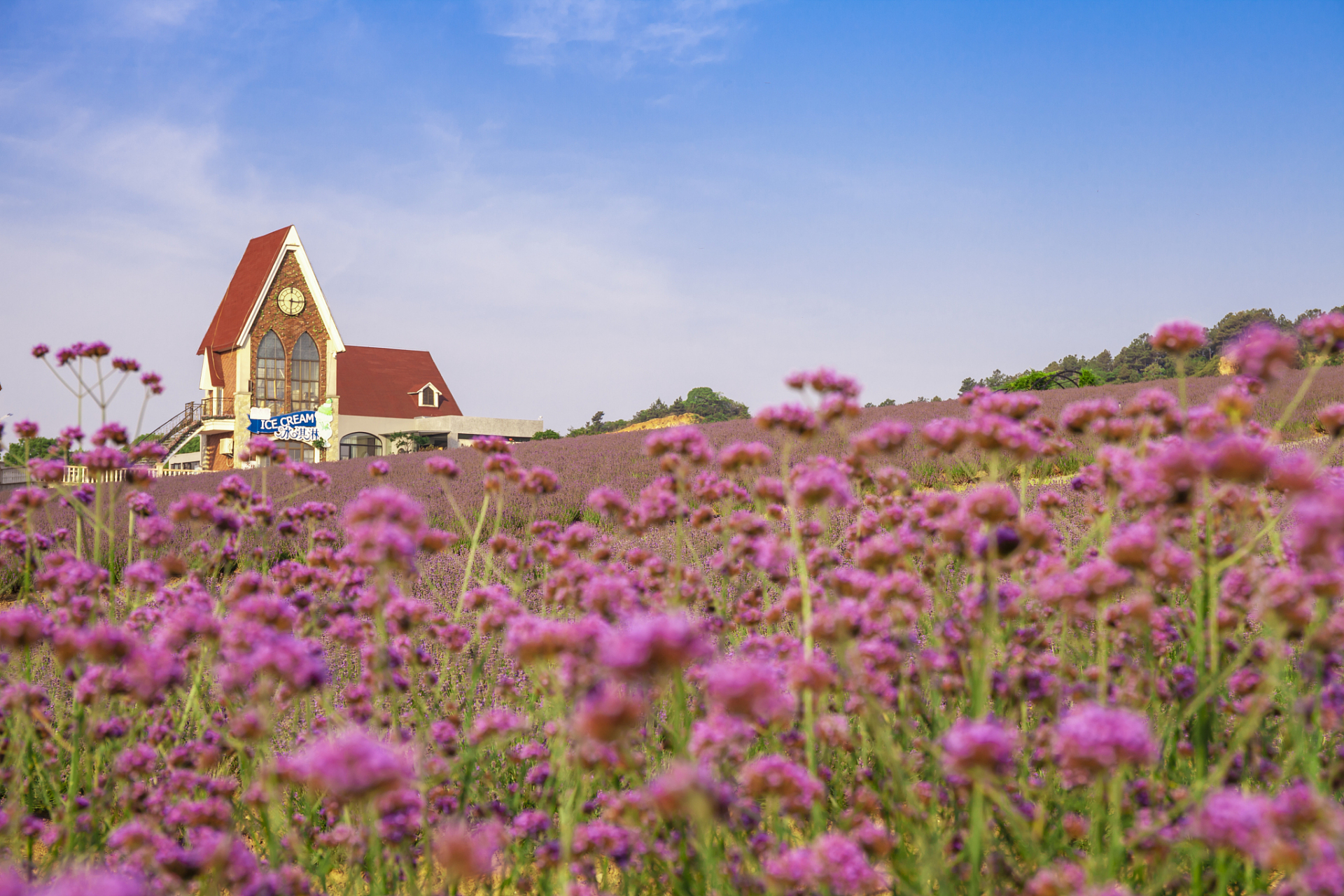 三圣花乡又称三圣花乡观光旅游区,位于四川省成都市锦江区成龙路三环