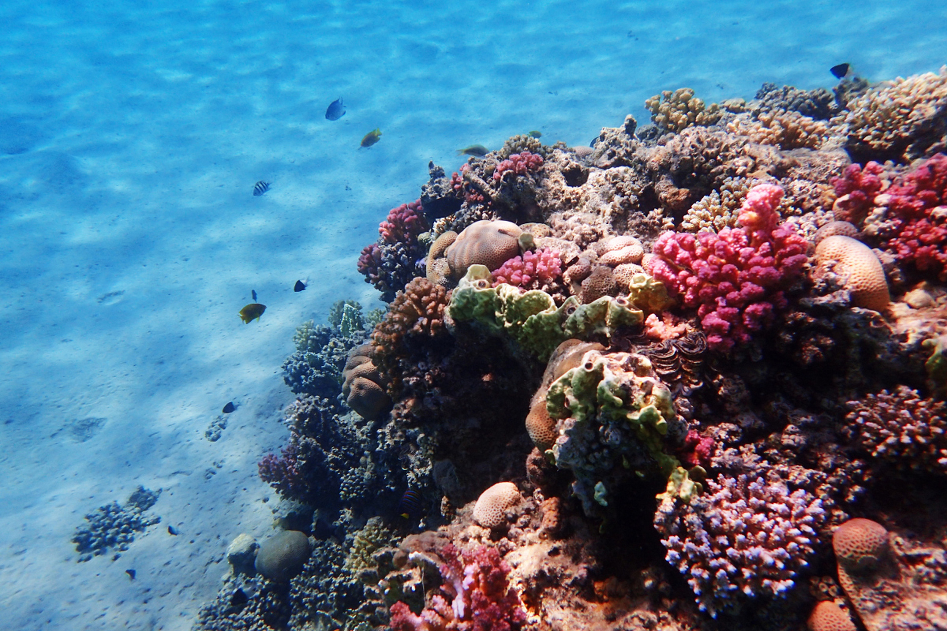 北海,神秘海域等你来探!