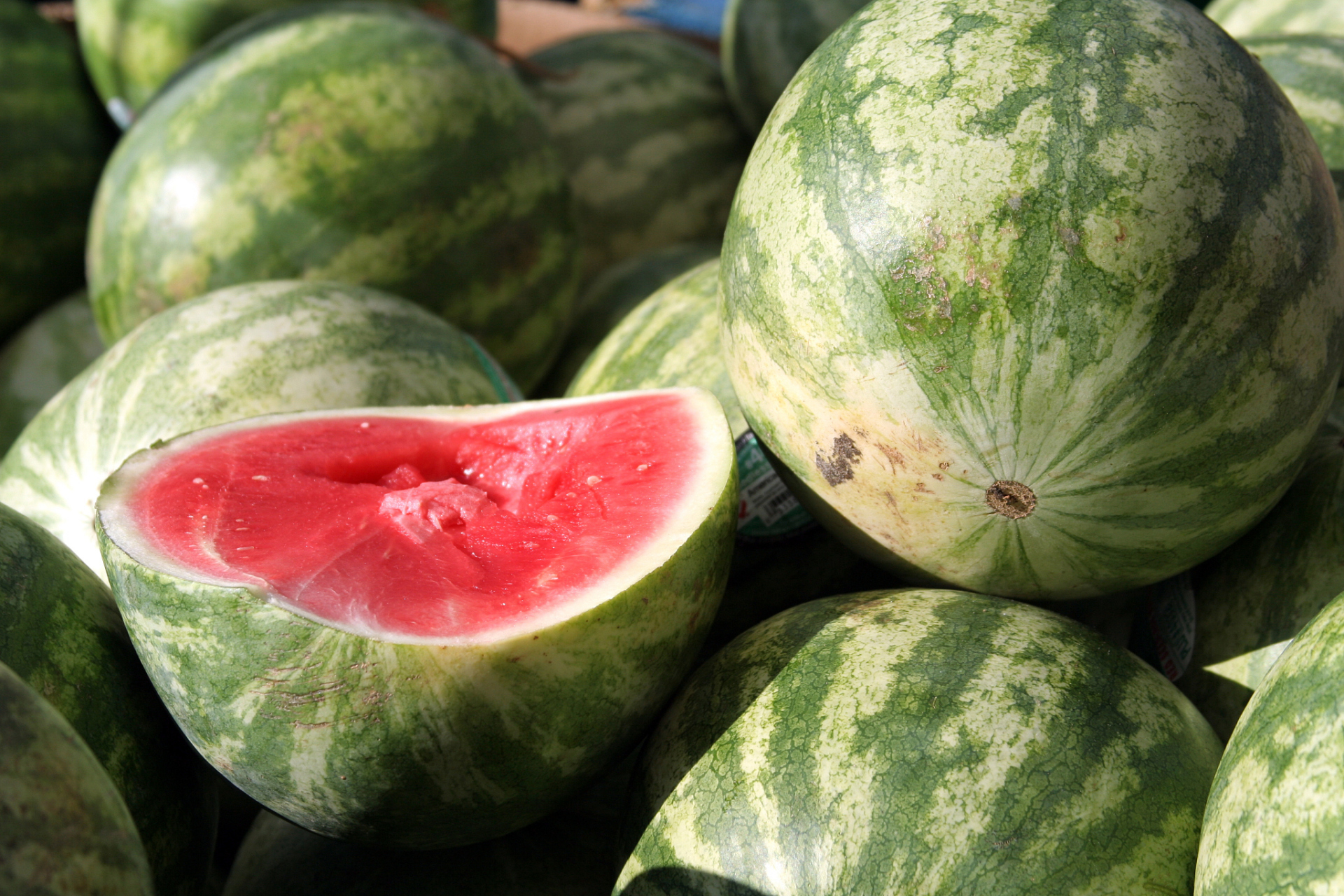 晚熟西瓜,温暖季节的甜蜜等待.70-92天的精心孕育后收获满满的爱与甜!