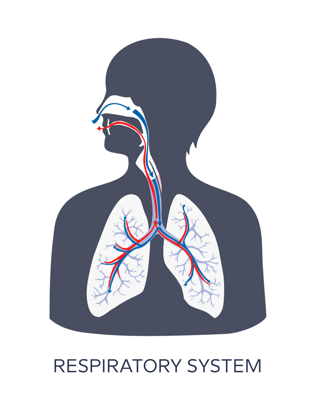 3种简单有效的预防呼吸道感染的方法 预防呼吸道感染是关乎我们健康的