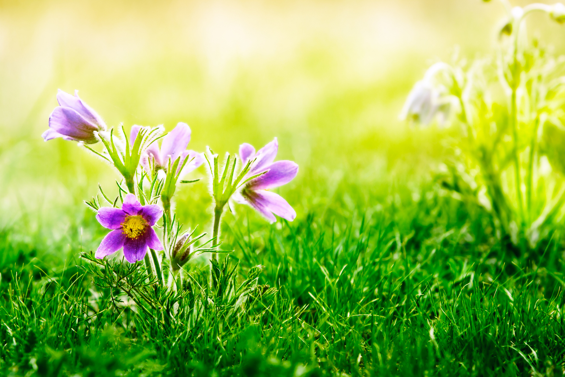 真诚沟通胜过千言万语;智慧处理人情世故,独立自主不添麻烦!