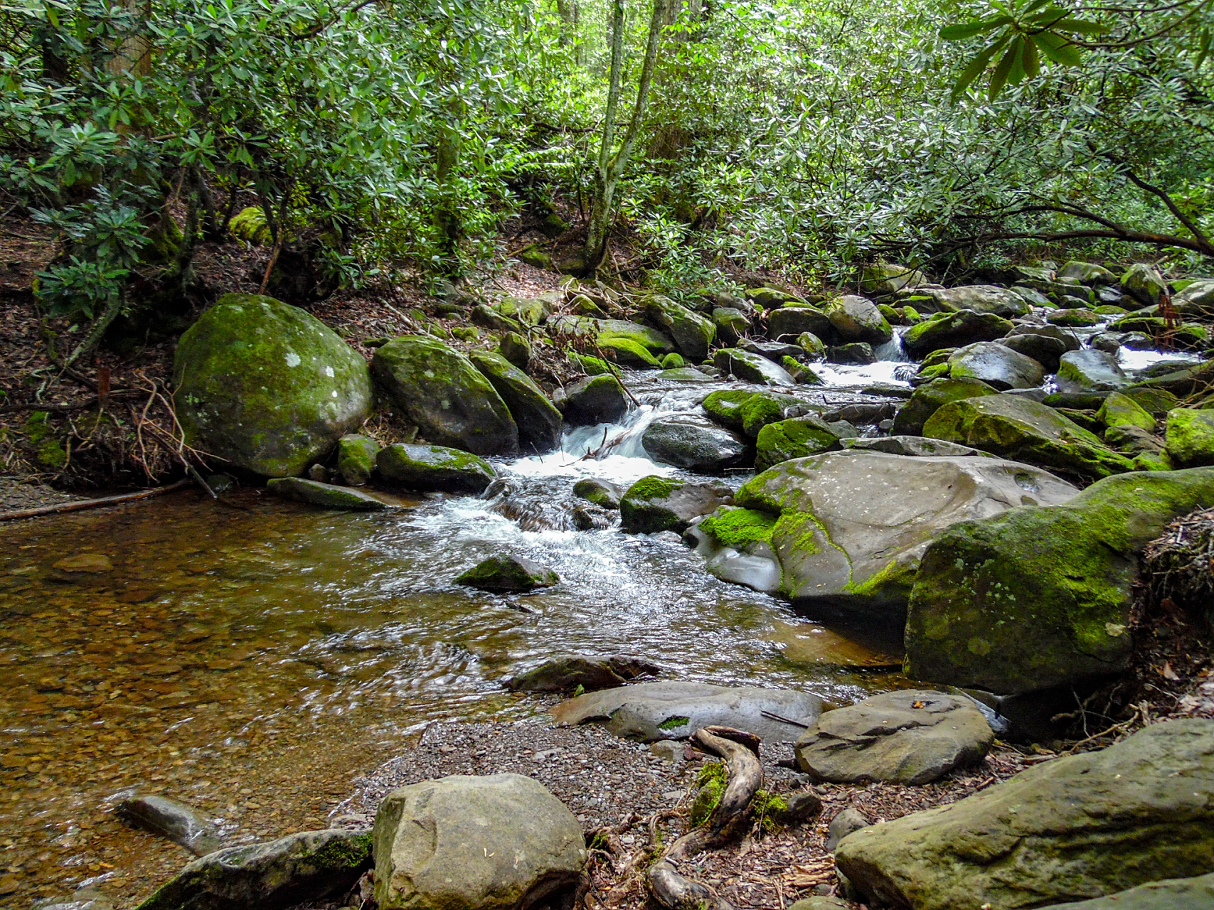 🏞》 2023年杭州亚运备战进行时,作为东道主🌍,杭州山沟沟景区为
