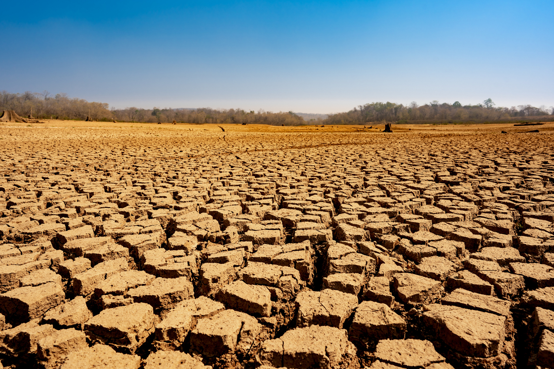 77159715 上半年一直都是干旱天气,连雨都没有几场03 导致