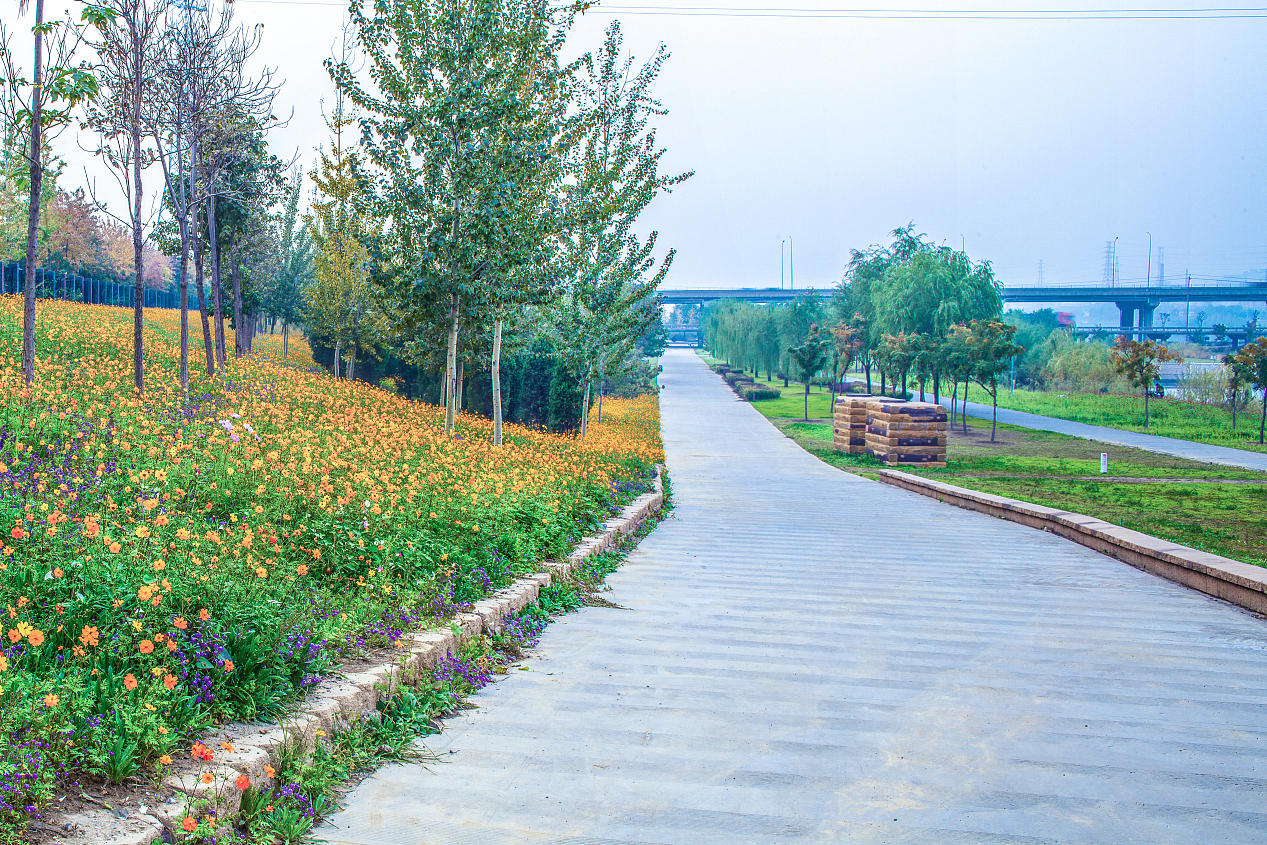 西青郊野公园是天津市区最大的郊野公园,位于市中心,交通便利,景色