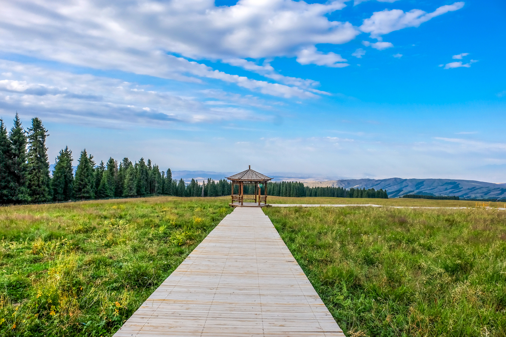 乌素图国家森林公园,隐藏在内蒙古呼和浩特的绿色宝藏!